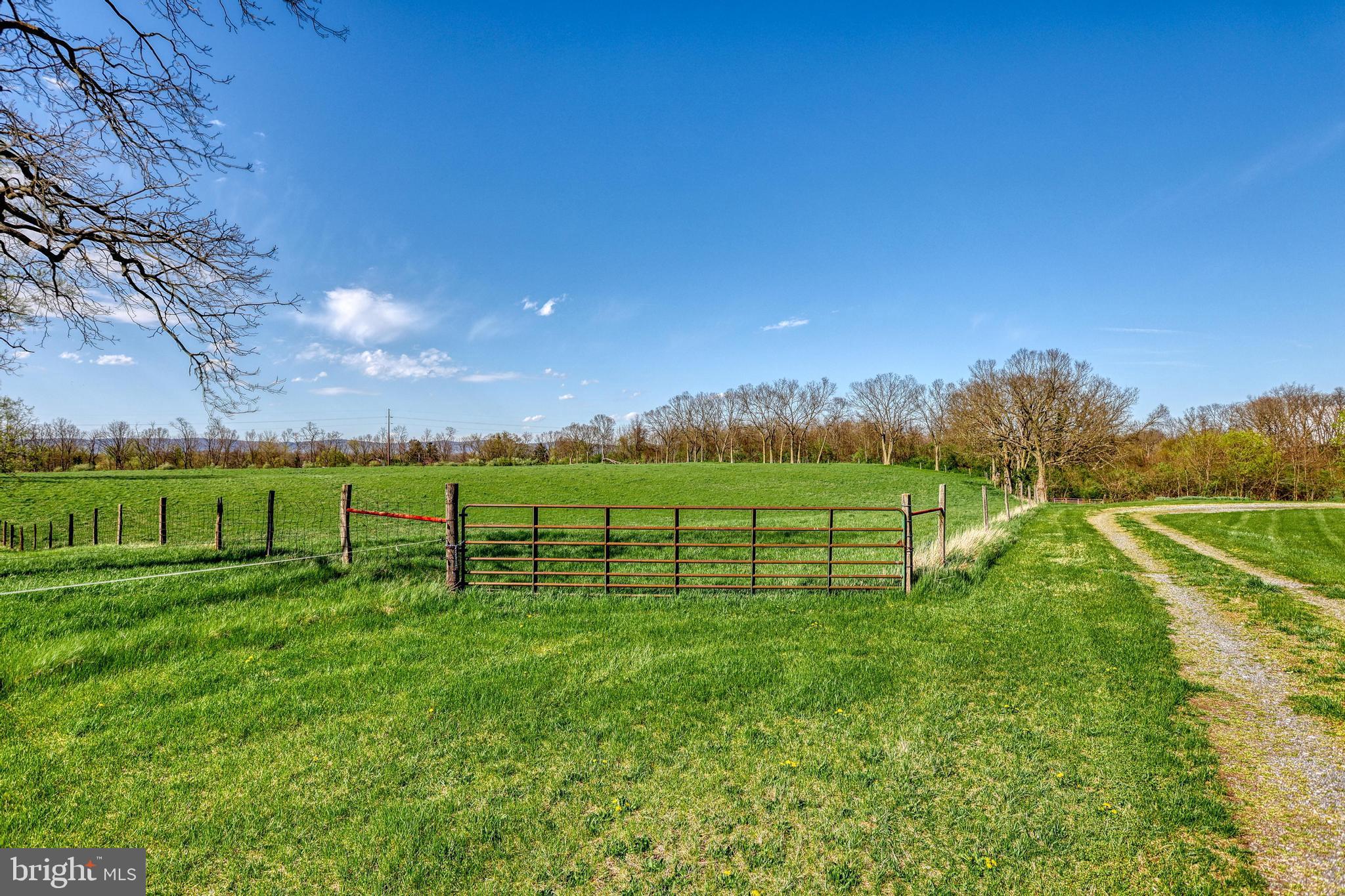 NONE AVAILABLE - Farm