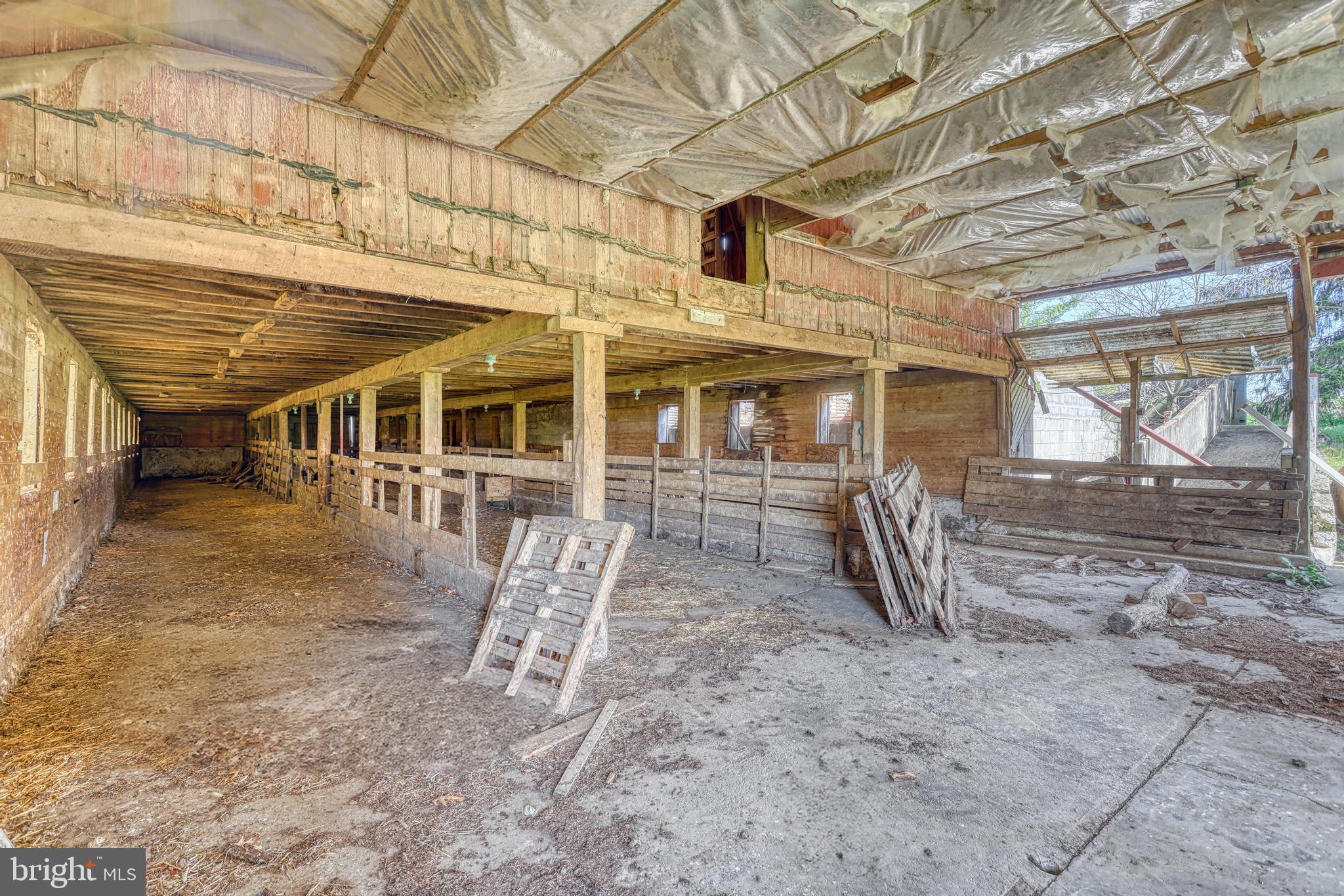 NONE AVAILABLE - Farm