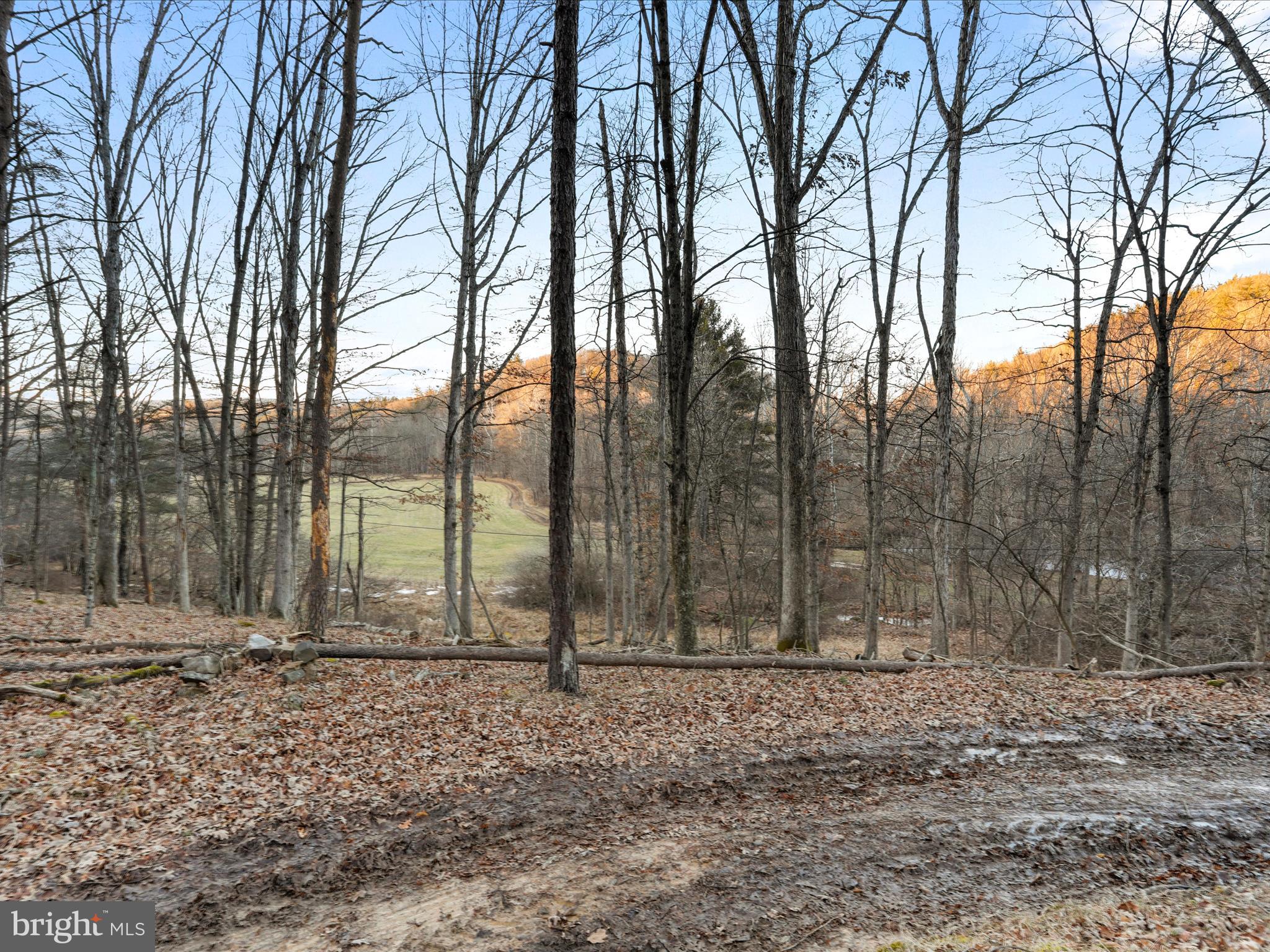 NONE UNRESTRICTED - Residential