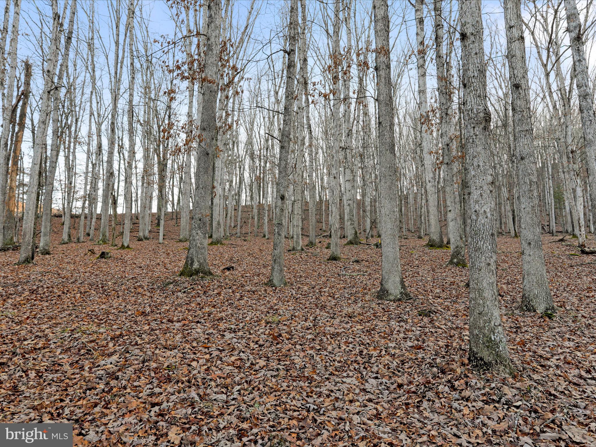 NONE UNRESTRICTED - Residential