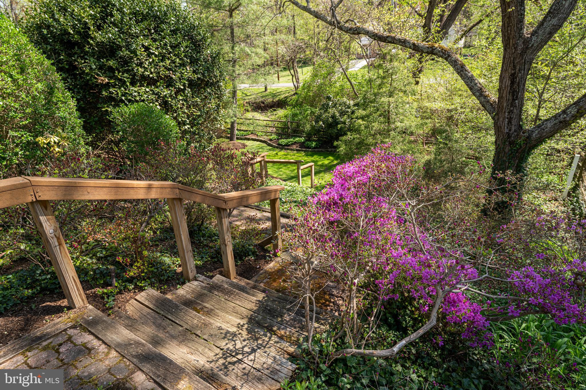 CARLIN TERRACE - Residential