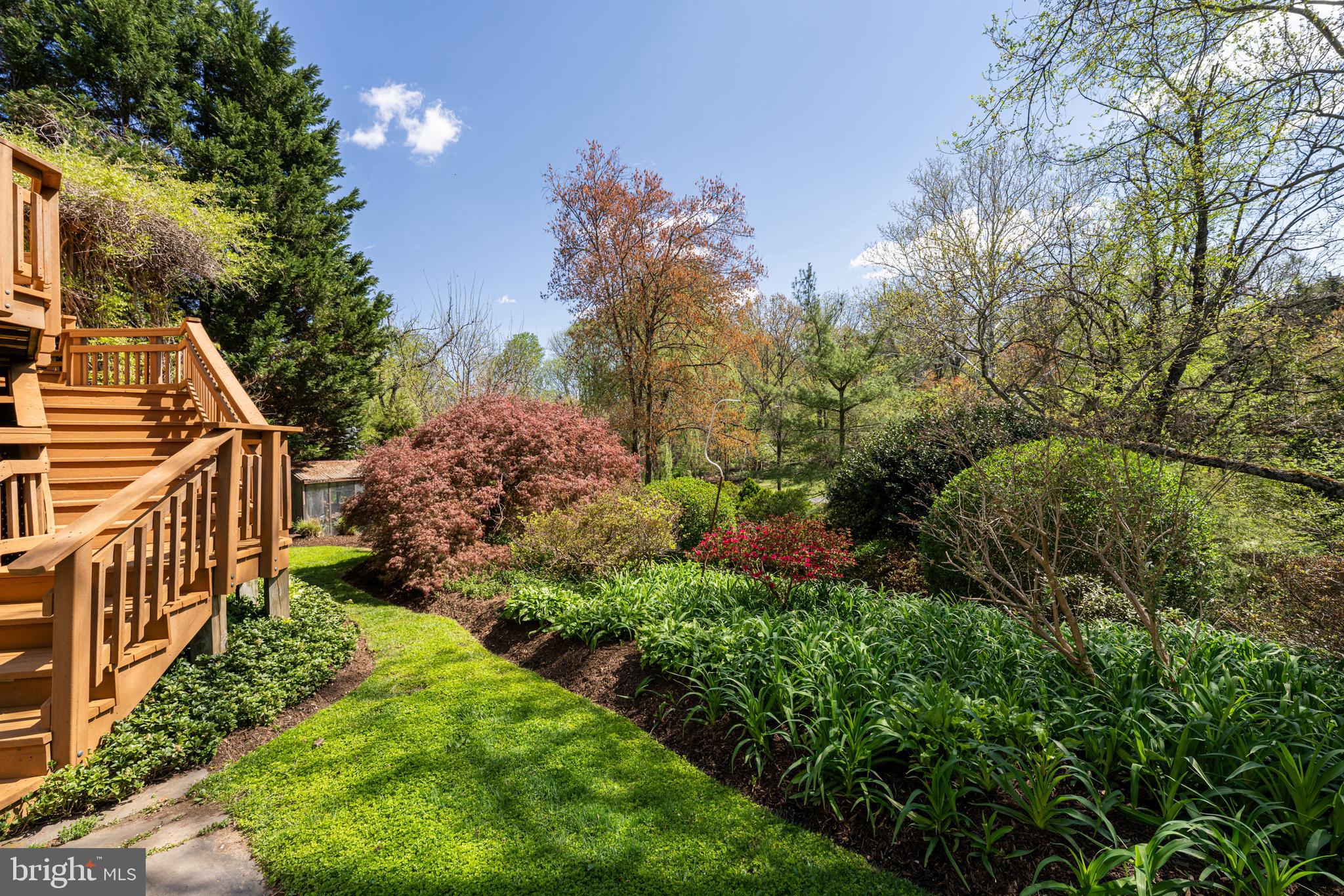 CARLIN TERRACE - Residential