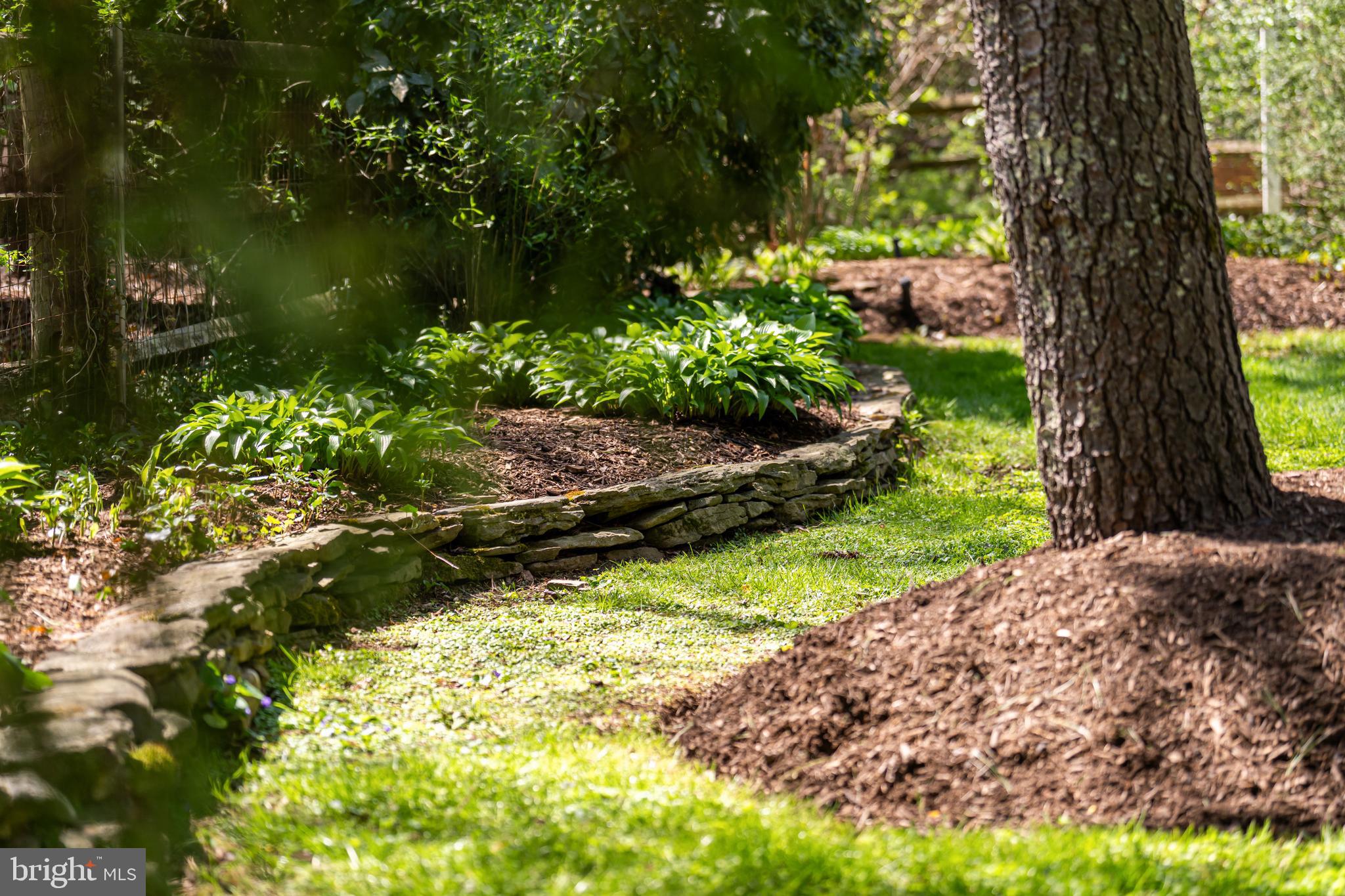 CARLIN TERRACE - Residential
