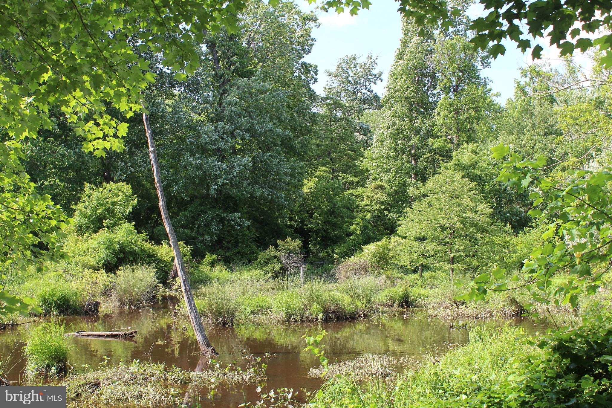 COUNTRY CLUB SOUTH - Residential