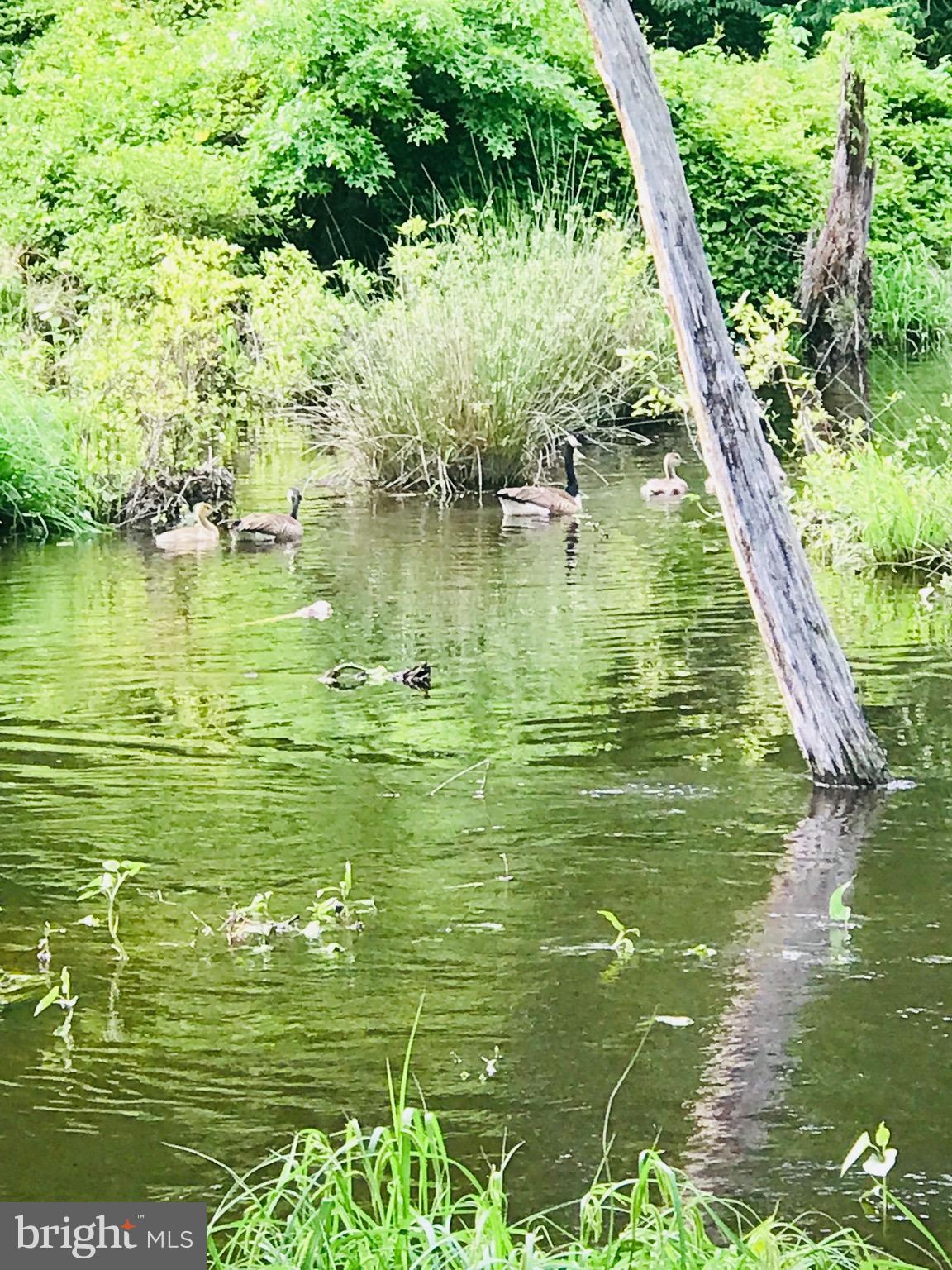 COUNTRY CLUB SOUTH - Residential