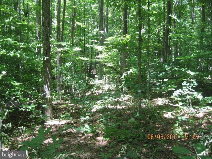 NONE AVAILABLE - Land