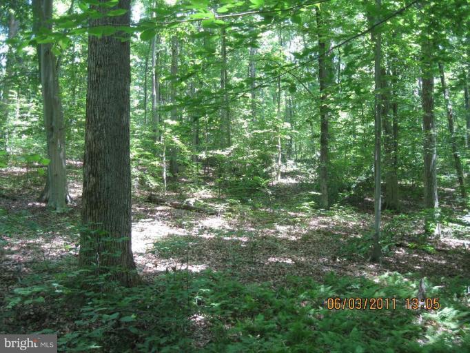 NONE AVAILABLE - Land