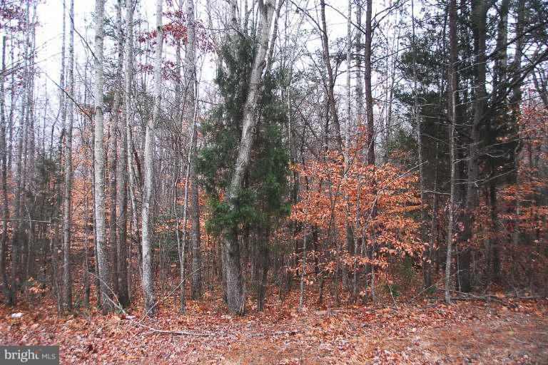 NONE AVAILABLE - Land