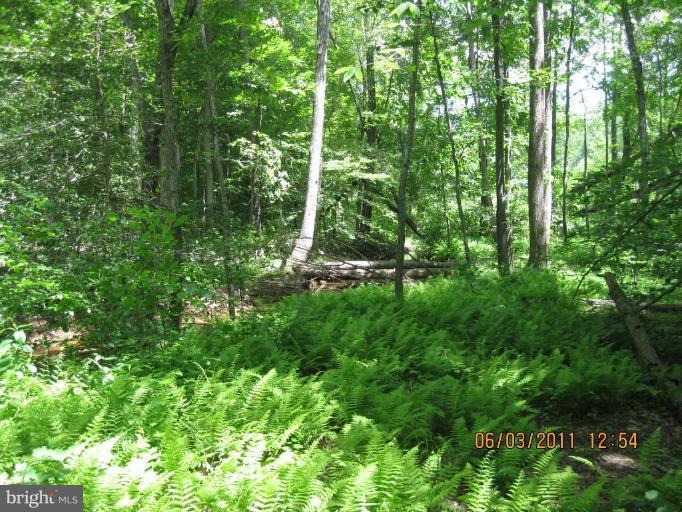 NONE AVAILABLE - Land