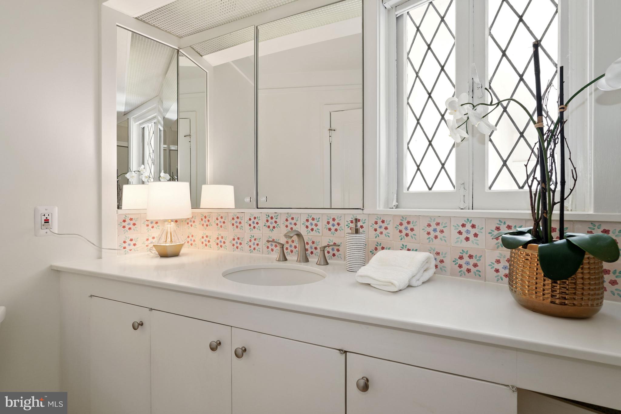 CHEVY CHASE VILLAGE - Residential