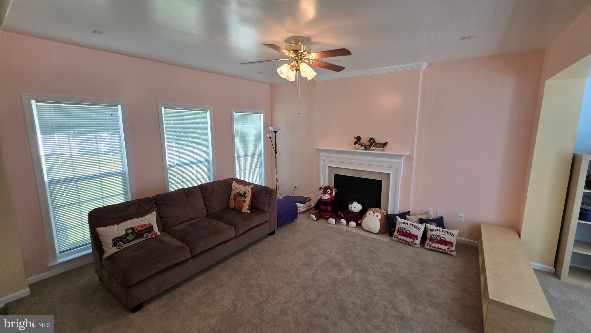 LANIER FARMS - Residential
