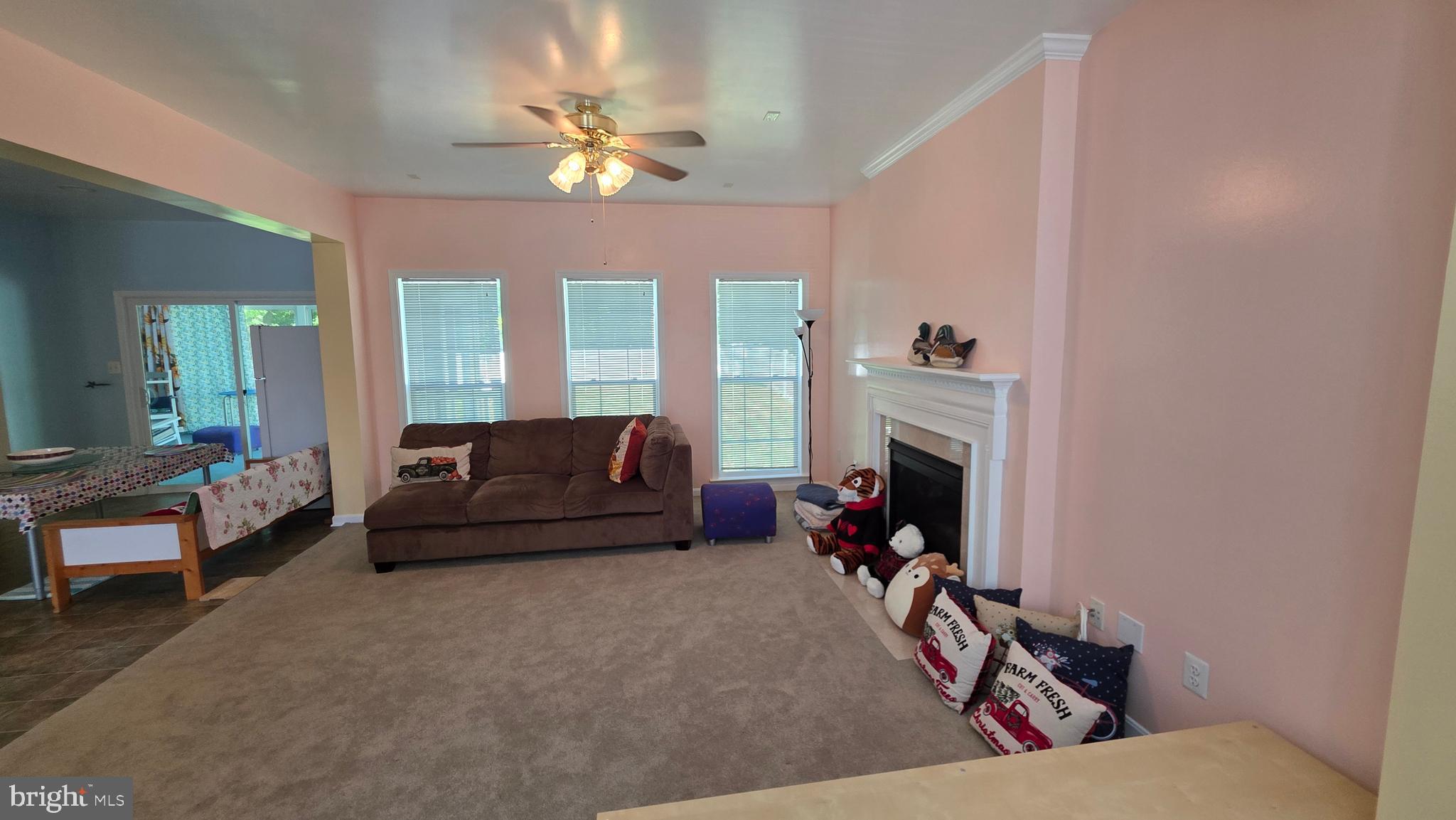LANIER FARMS - Residential