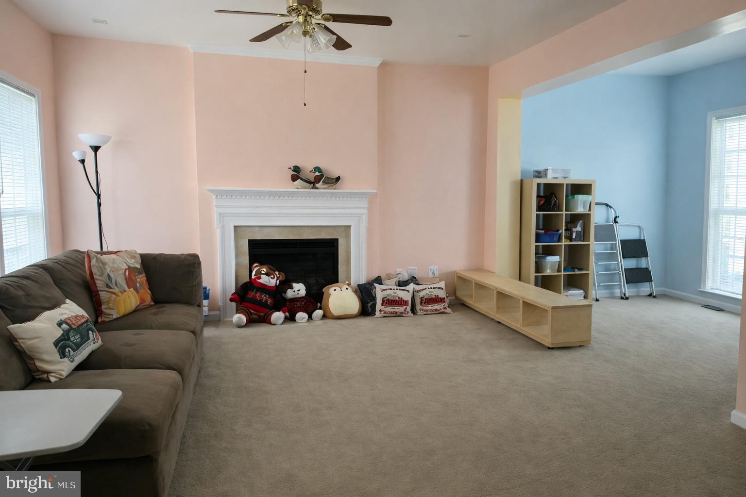 LANIER FARMS - Residential