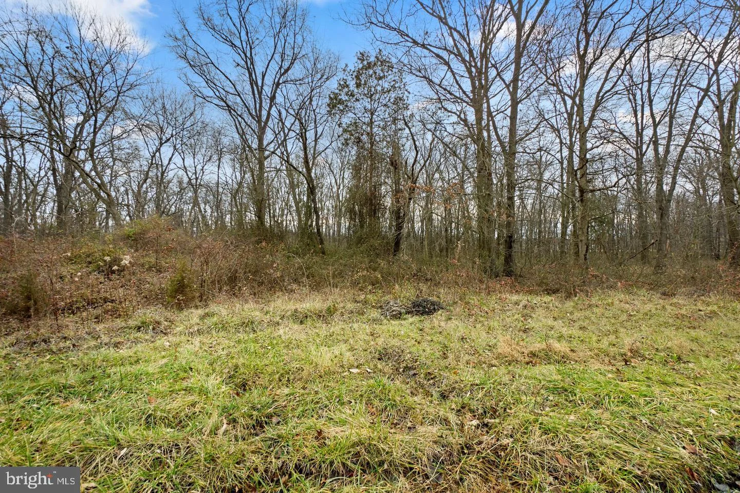 Additional image 38 of Carnival Drive, Taneytown, MD 21787