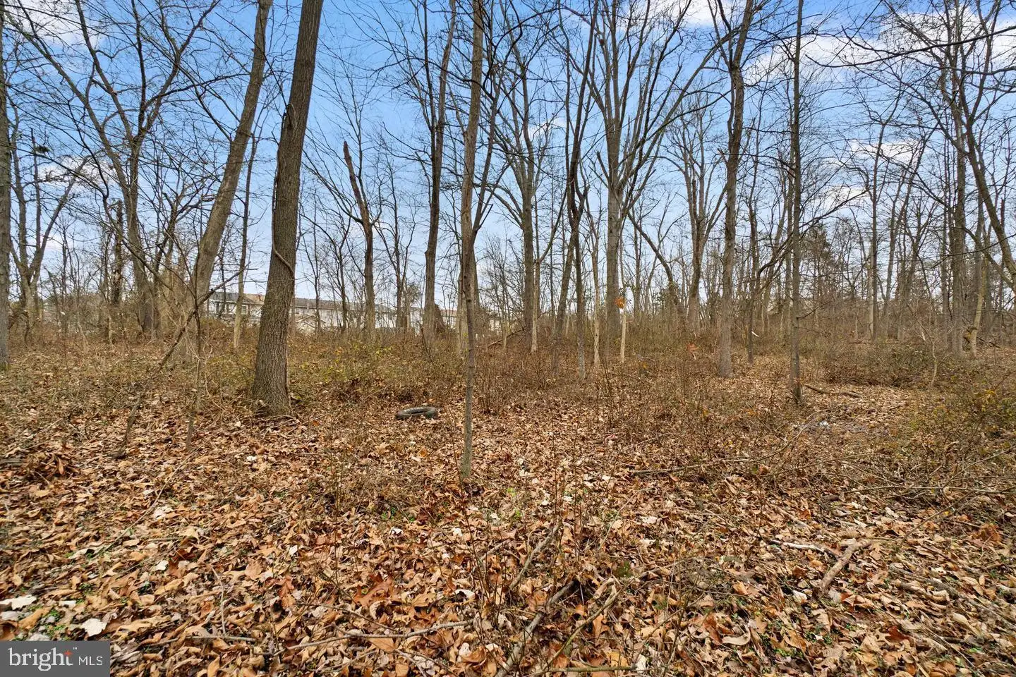Additional image 40 of Carnival Drive, Taneytown, MD 21787