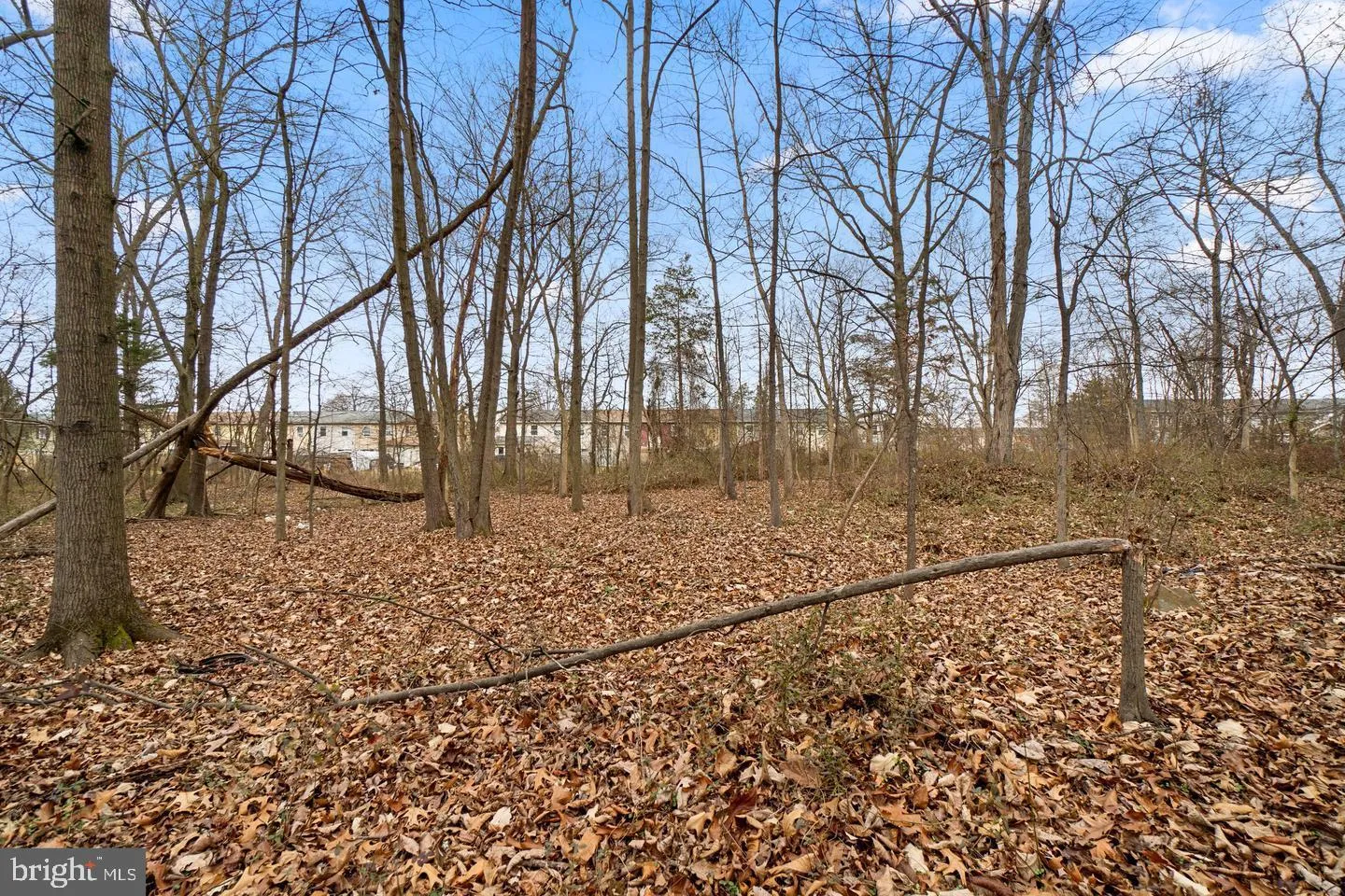 Additional image 41 of Carnival Drive, Taneytown, MD 21787