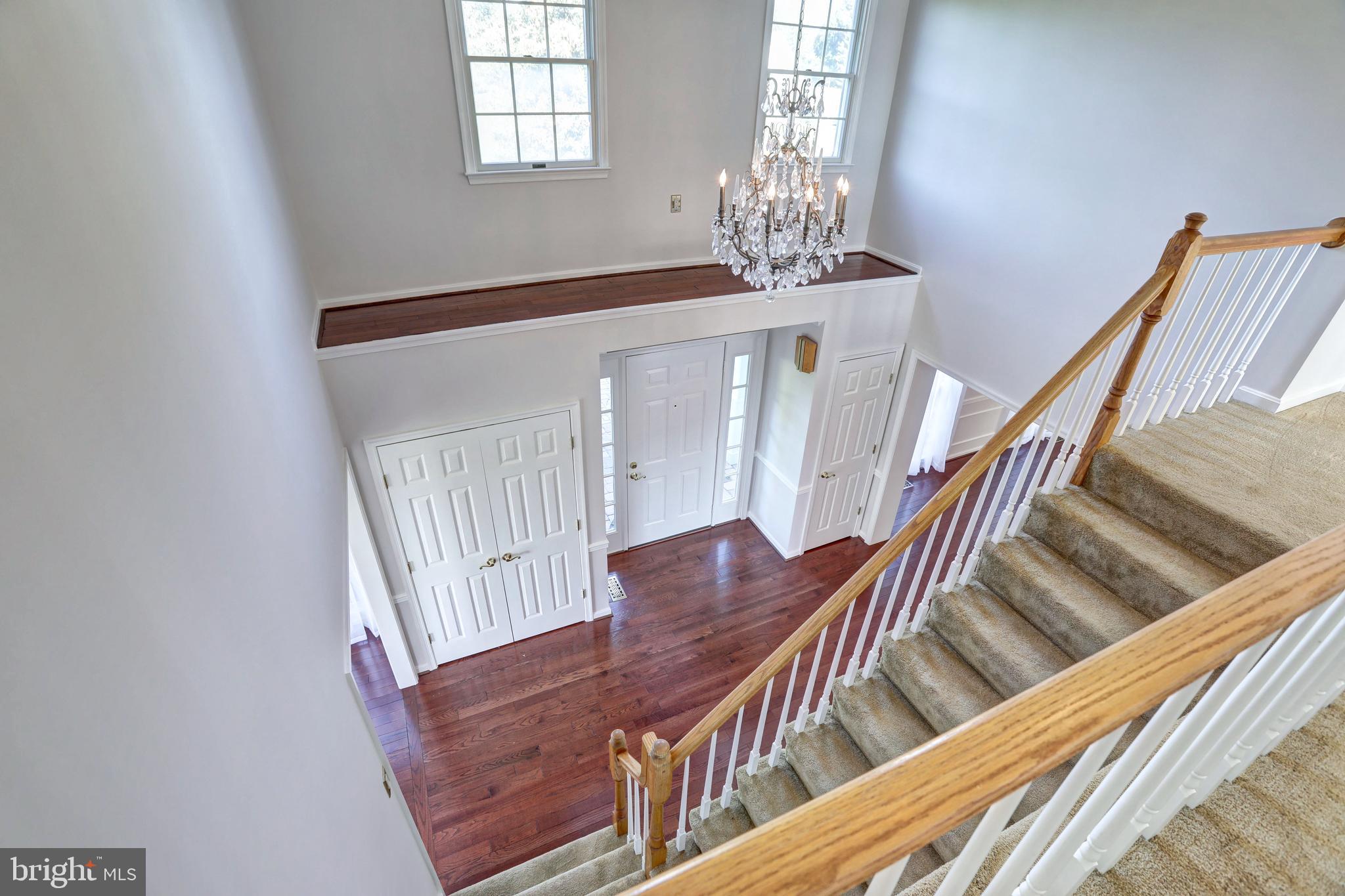 STEEPLE CHASE - Residential