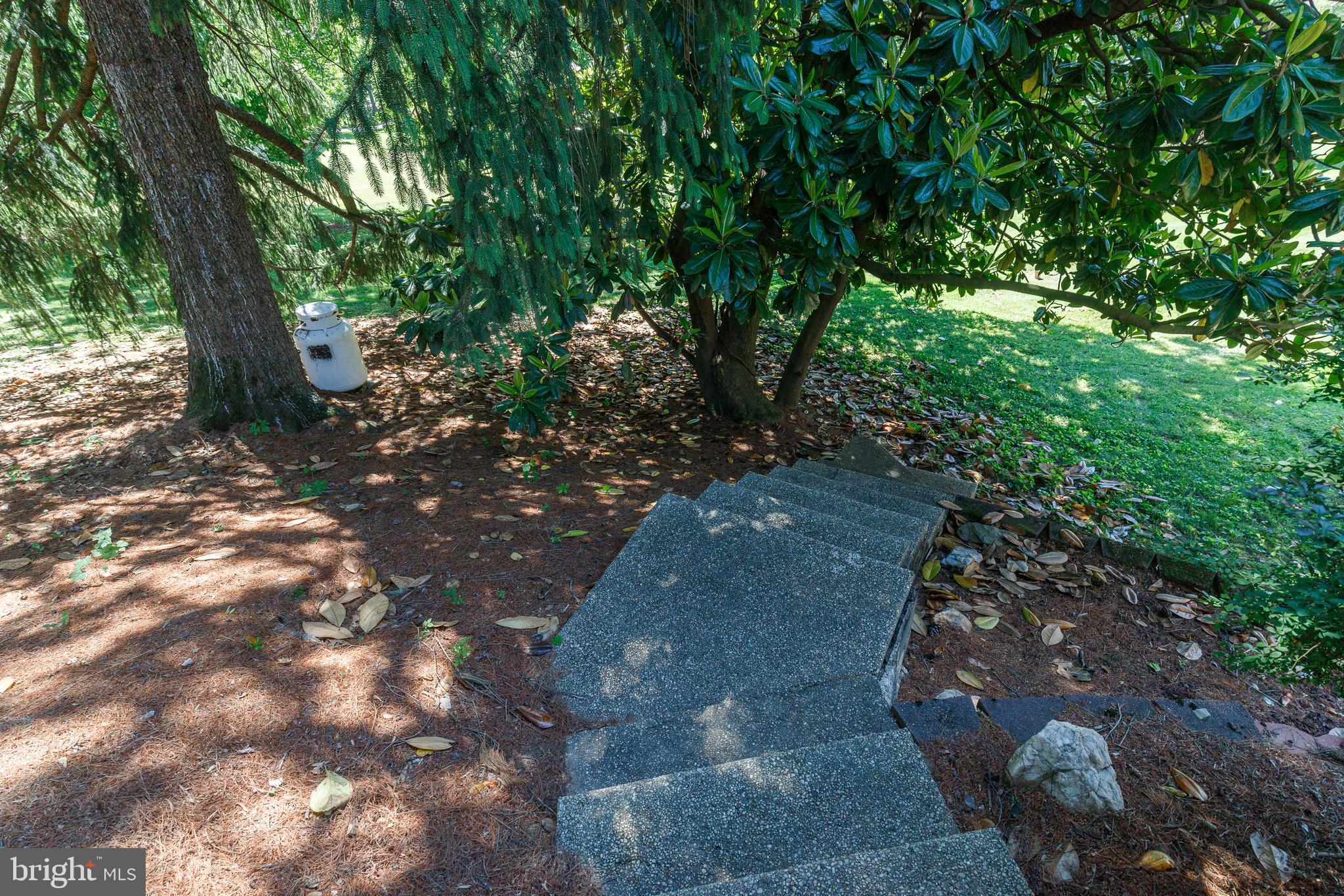 STEVENSON - Residential