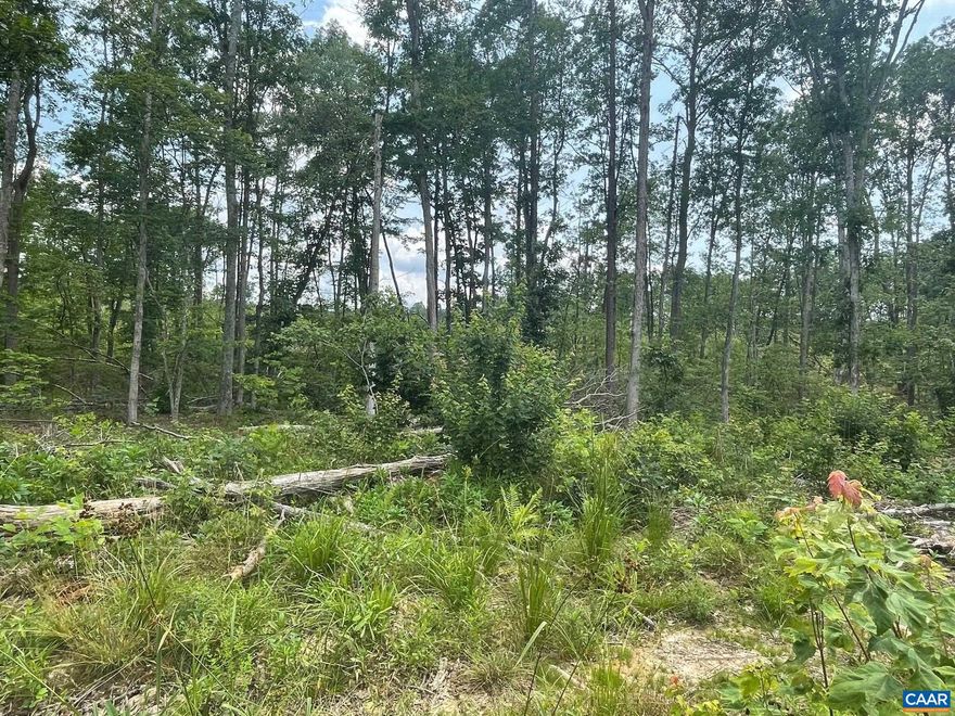 Hunter's Paradise! Just outside the beautiful historic Town of Gordonsville, this 111.55 acre parcel is a dream come true for the hunters and nature lovers alike.  The property boasts abundant wildlife, including deer, bear, turkey, and small game. This a sportsman's dream!  Features include gently rolling terrain, running creeks, new growth mixed with mature trees, and wonderful privacy.  Enjoy the convenience of nearby restaurants, grocery stores, and local charm, while escaping to your own private retreat and endless recreational opportunities.  Whether you're looking to hunt, build, or simply relax in the nature, this property offers endless possibilities! A rare opportunity for outdoor enthusiasts, investors, or those seeking their own secluded haven. Bring your own builder and create the dream home you've always wanted while enjoying endless recreational opportunities right outside your door.   Don't miss this unique gateway to your dreams!  Must have an appointment to preview the property!