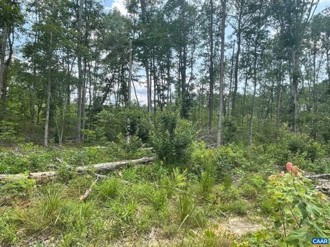 Vacant Land For Sale - Passante Sr Ln #10 68<br/> GORDONSVILLE, VA 22942