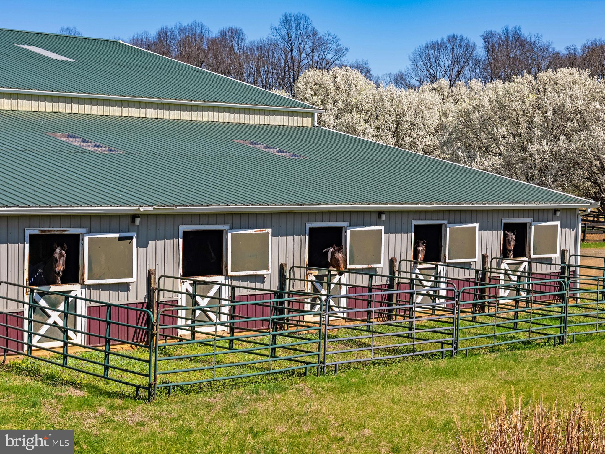 ENGLISH MEADOWS - Residential