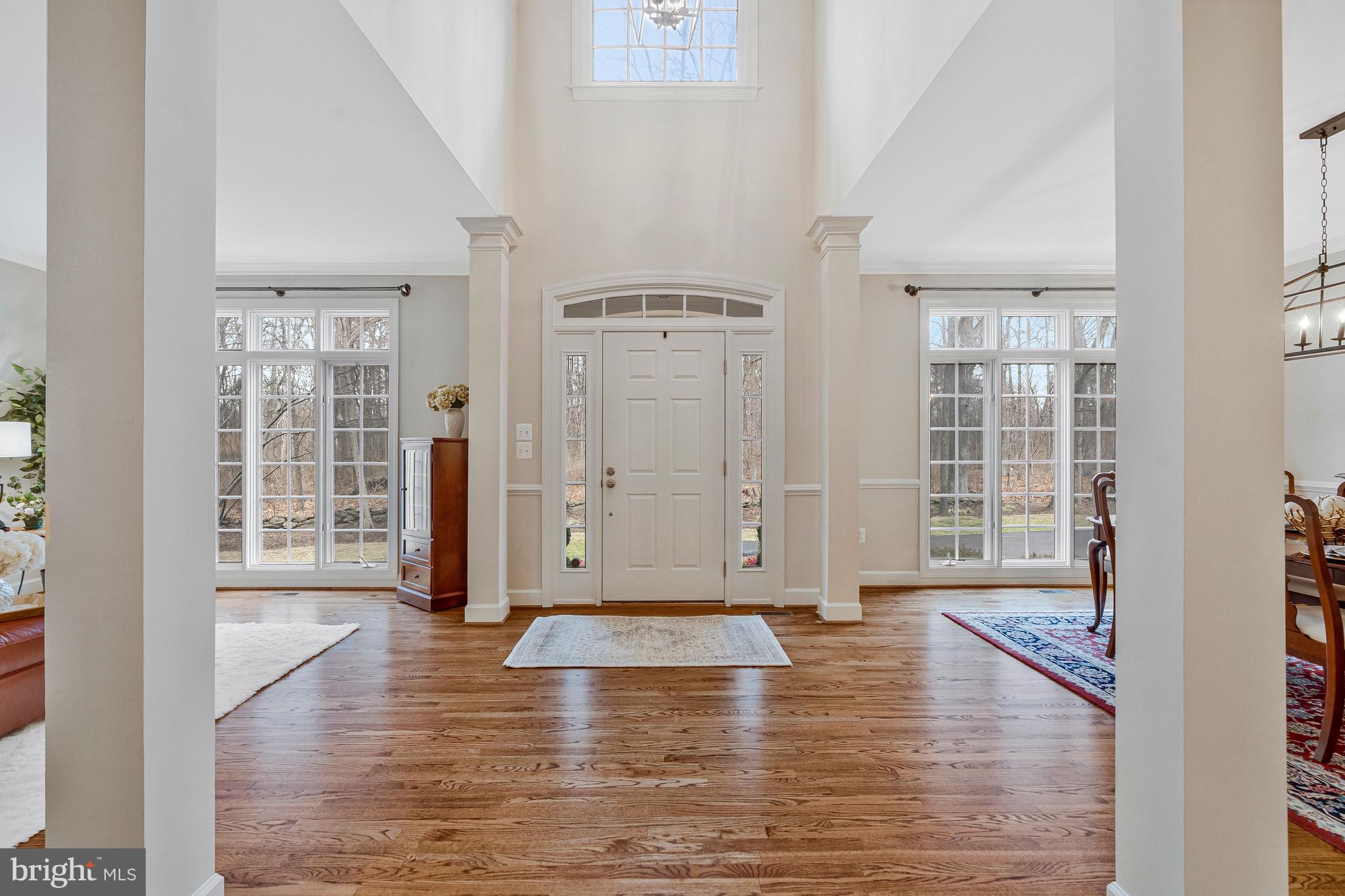 13783 HENRY POND COURT