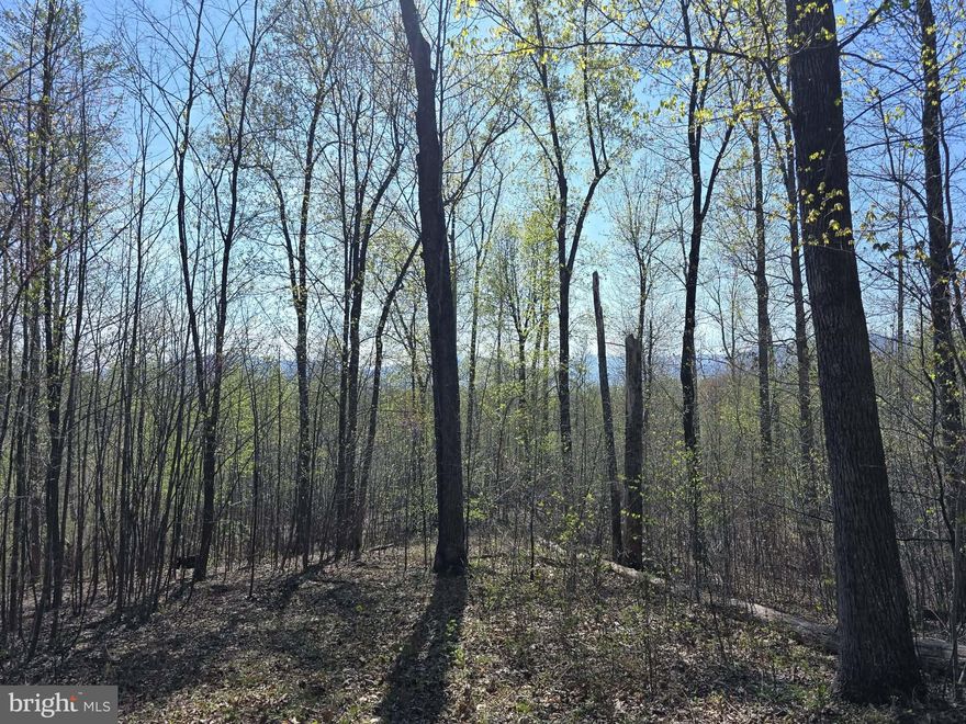 Amazing Opportunity to own 10 acres on Scenic Byway 231!!  Perc approved for a 4 bedroom conventional septic.  Level building spot about half way up the mountain.  Beautiful views from this parcel.  Seasonal creek.  Lots of wildlife.
