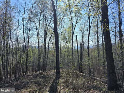 Vacant Land For Sale - LOT 2 S Ft Valley Rd Rd<br/> MADISON, VA 22727