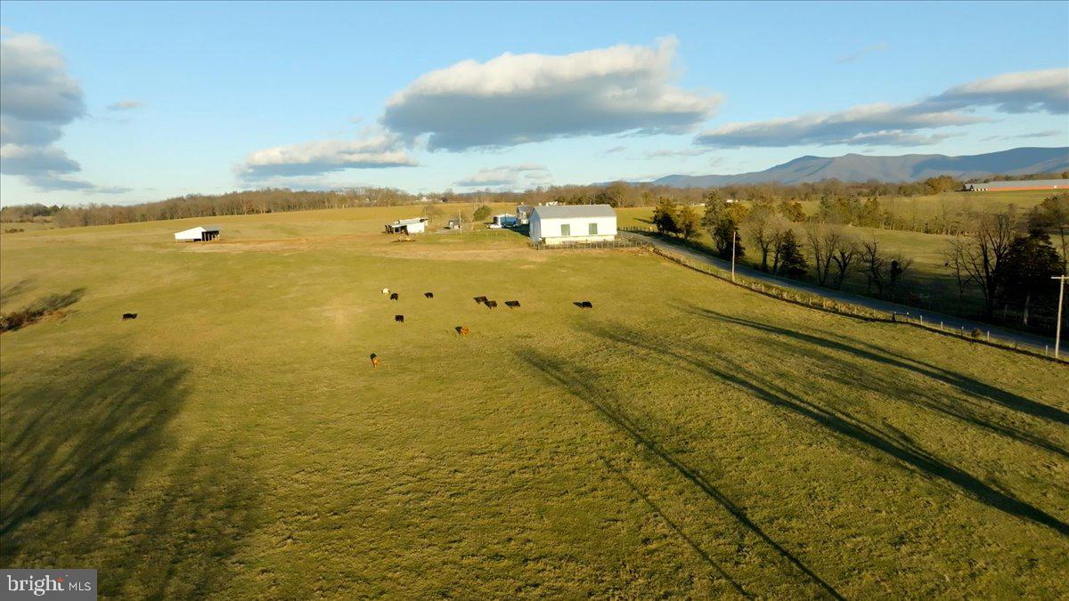 NONE AVAILABLE - Farm