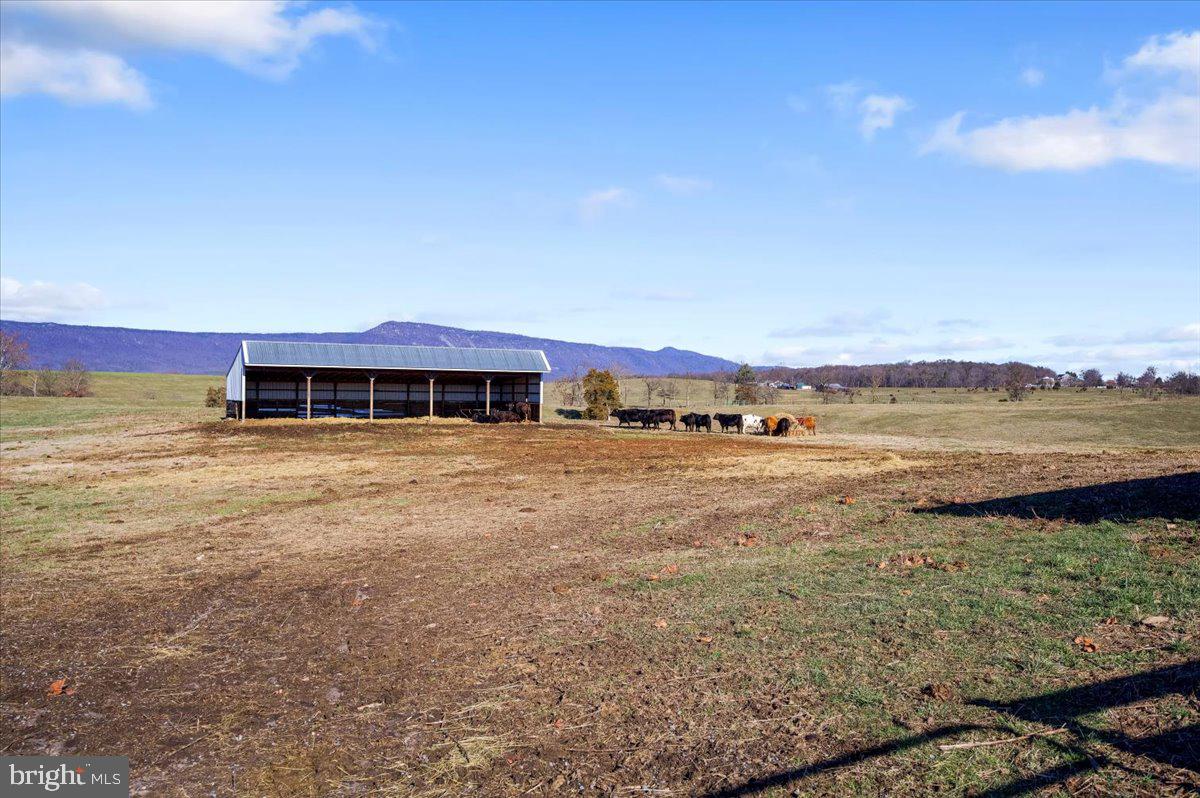 NONE AVAILABLE - Farm