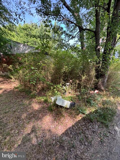 10528 COLES LANE
