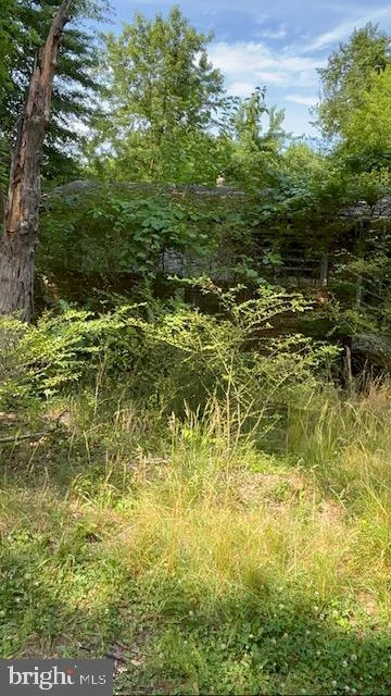 MLS: VASP2042914
