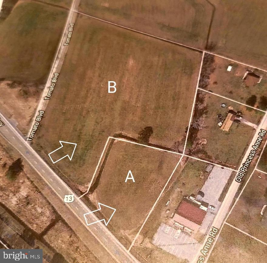 Property consists of two parcels - TM 32  Parcel 239 - Tax ID 201310374 (5.85 acres Lot B) and Tax ID 2013010382 (1.21 acres Lot A)  total acreage 7.06 +/- acres.  Property' s  current use is Agricultural and Zoned C-2,  see highlighted attached Zoning Ordinance for possible uses/BUYER to verify. Sewer is available and natural gas line is currently as far as ECI and the Mountaire grain facility. Great location -Fronting on Rt. 13 Northbound Lane. If applicable, BUYER pays Agriculture Tax.