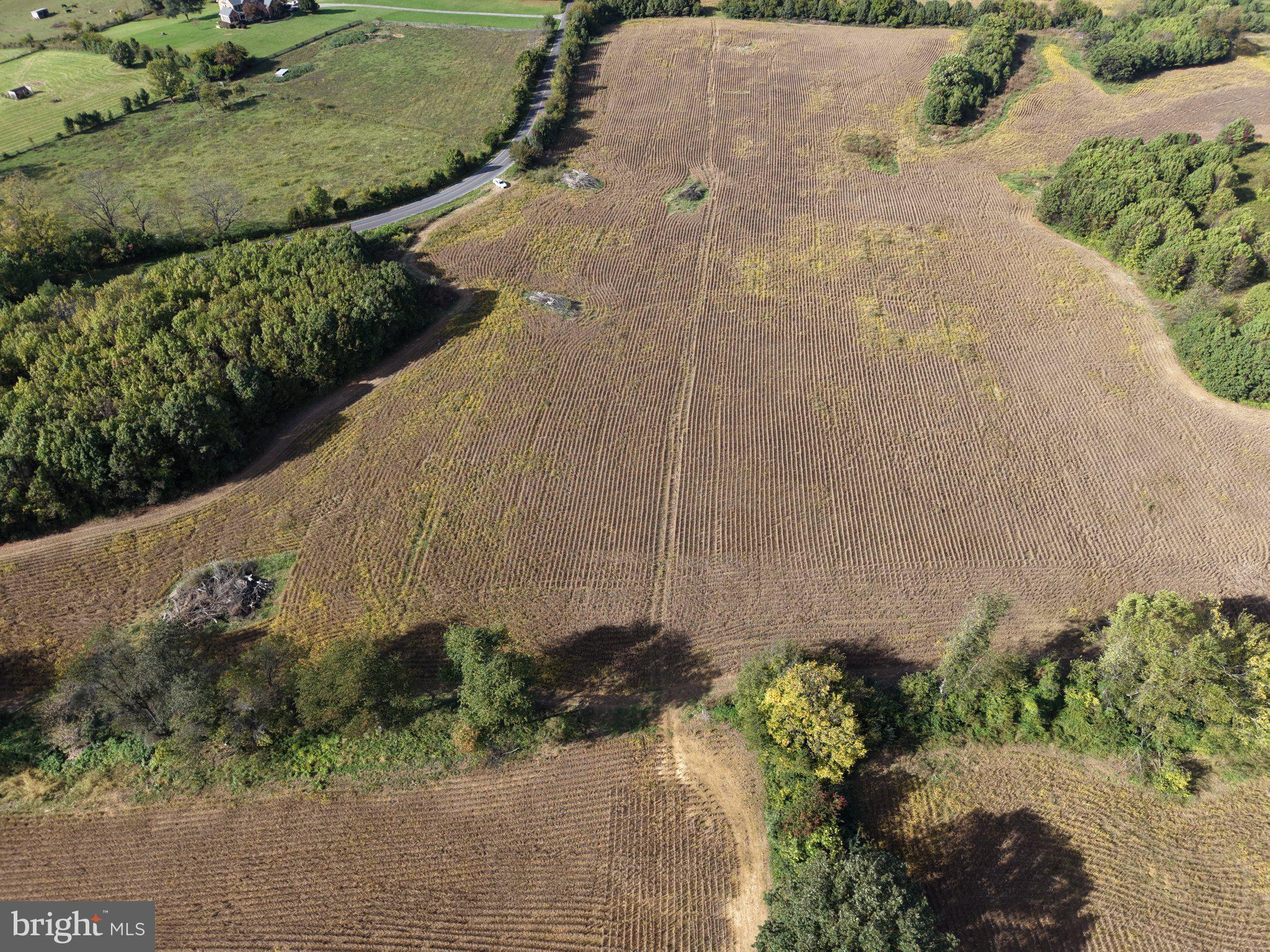 TRACT 3: 3+/- ACRES OFF PARSHALL ROAD