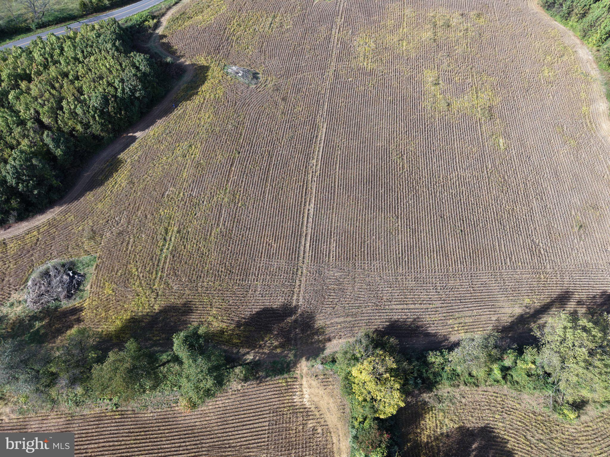 TRACT 3: 3+/- ACRES OFF PARSHALL ROAD