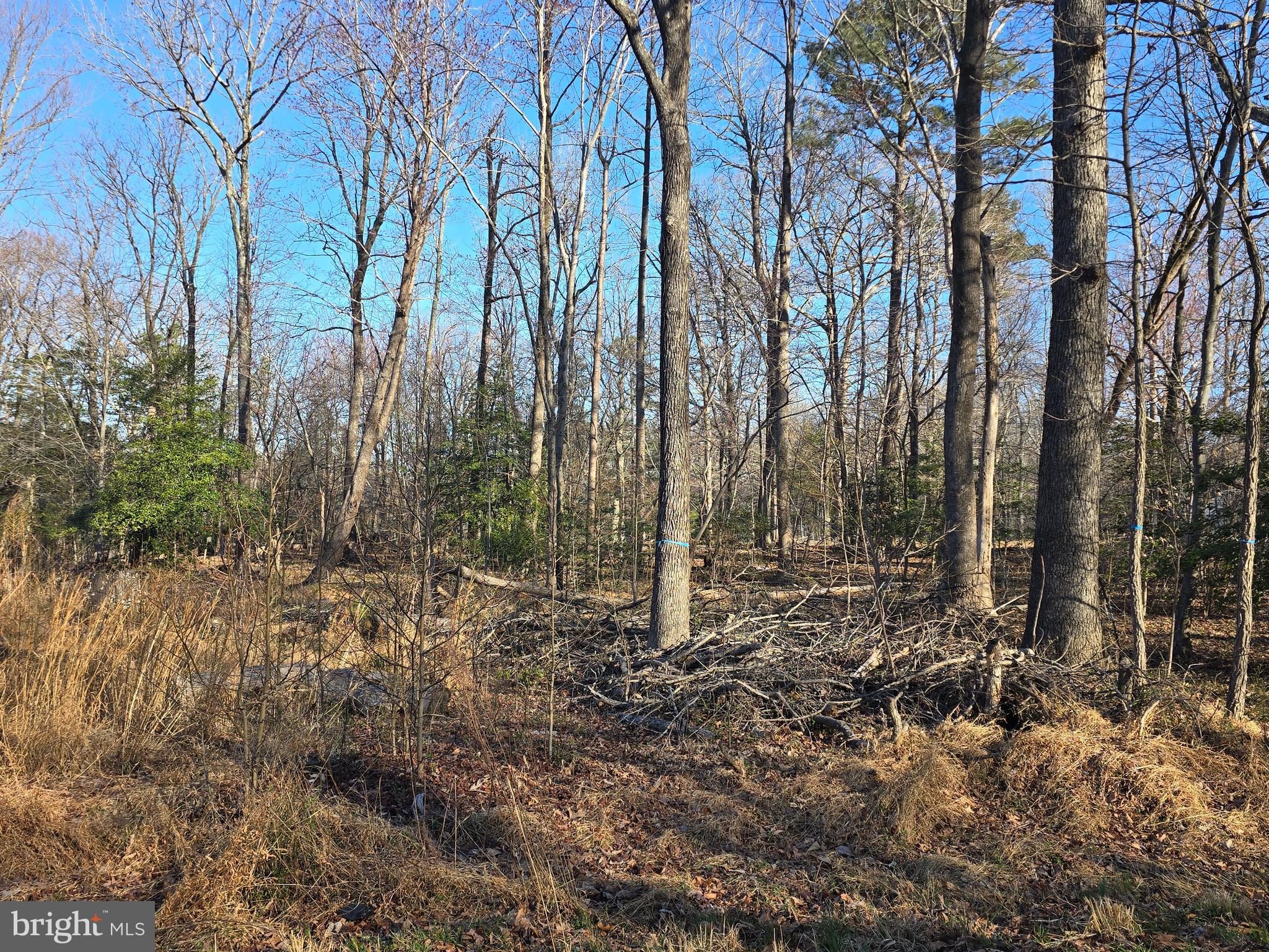 STRATFORD HARBOUR - Land