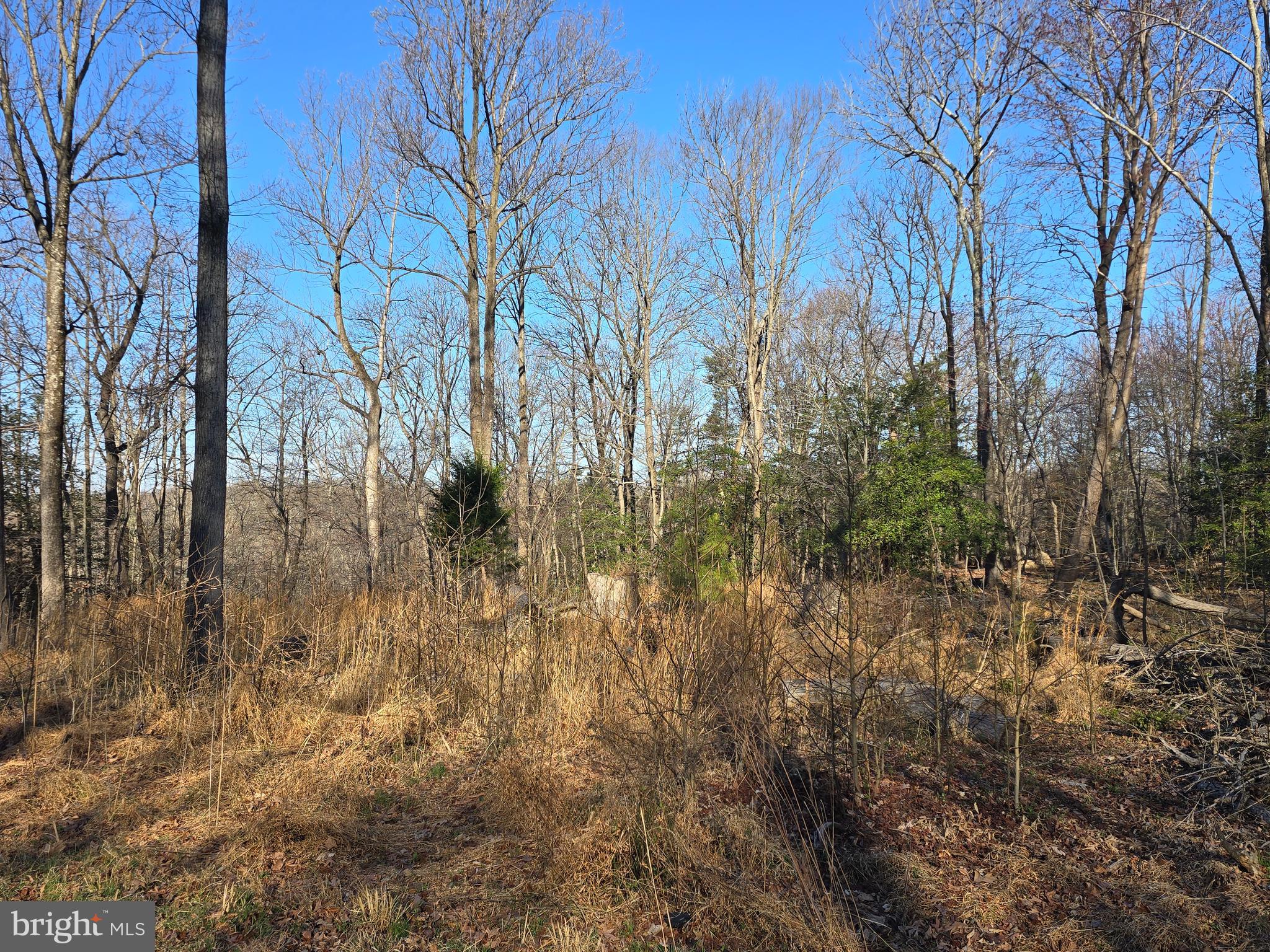 STRATFORD HARBOUR - Land