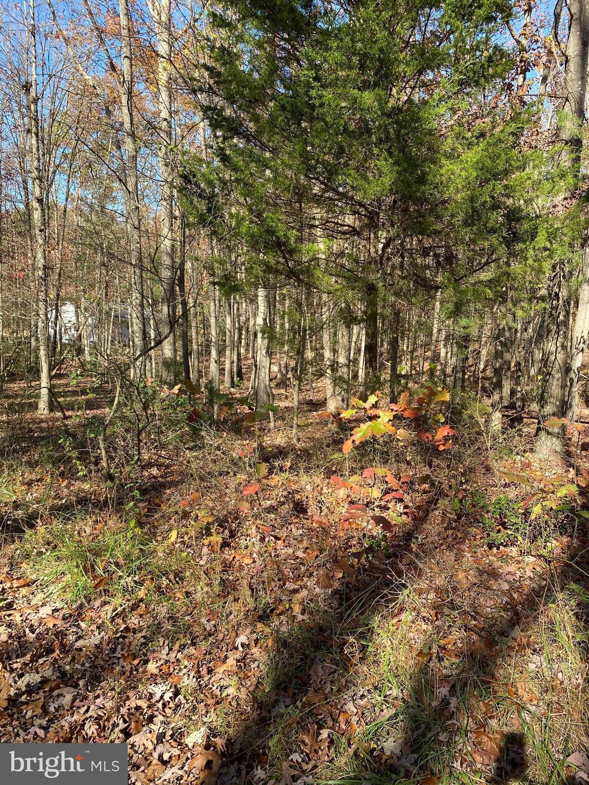 FOREST EDGE ESTATES - Land