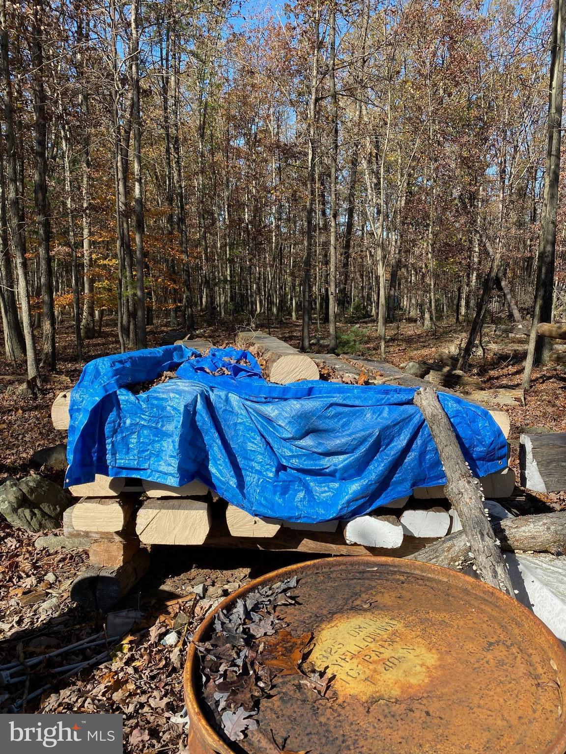 FOREST EDGE ESTATES - Land