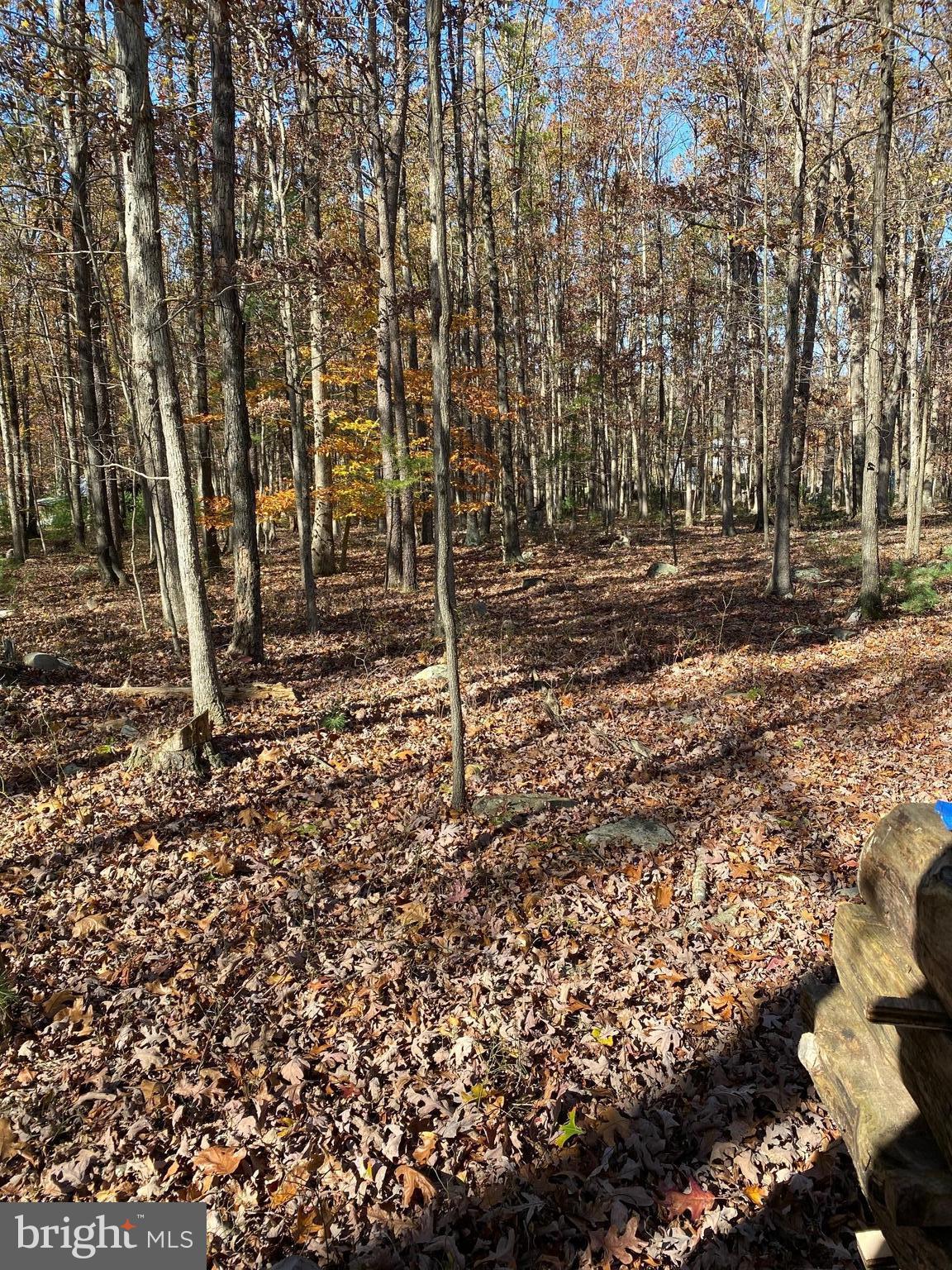 FOREST EDGE ESTATES - Land