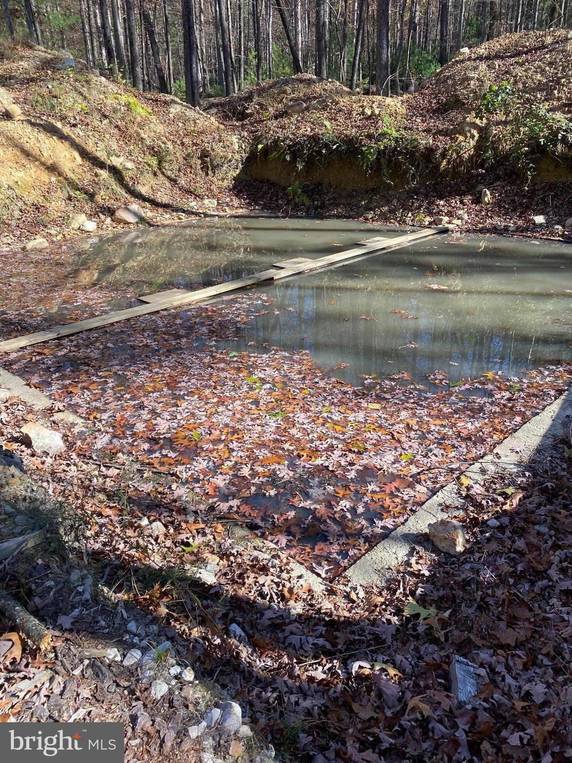 FOREST EDGE ESTATES - Land