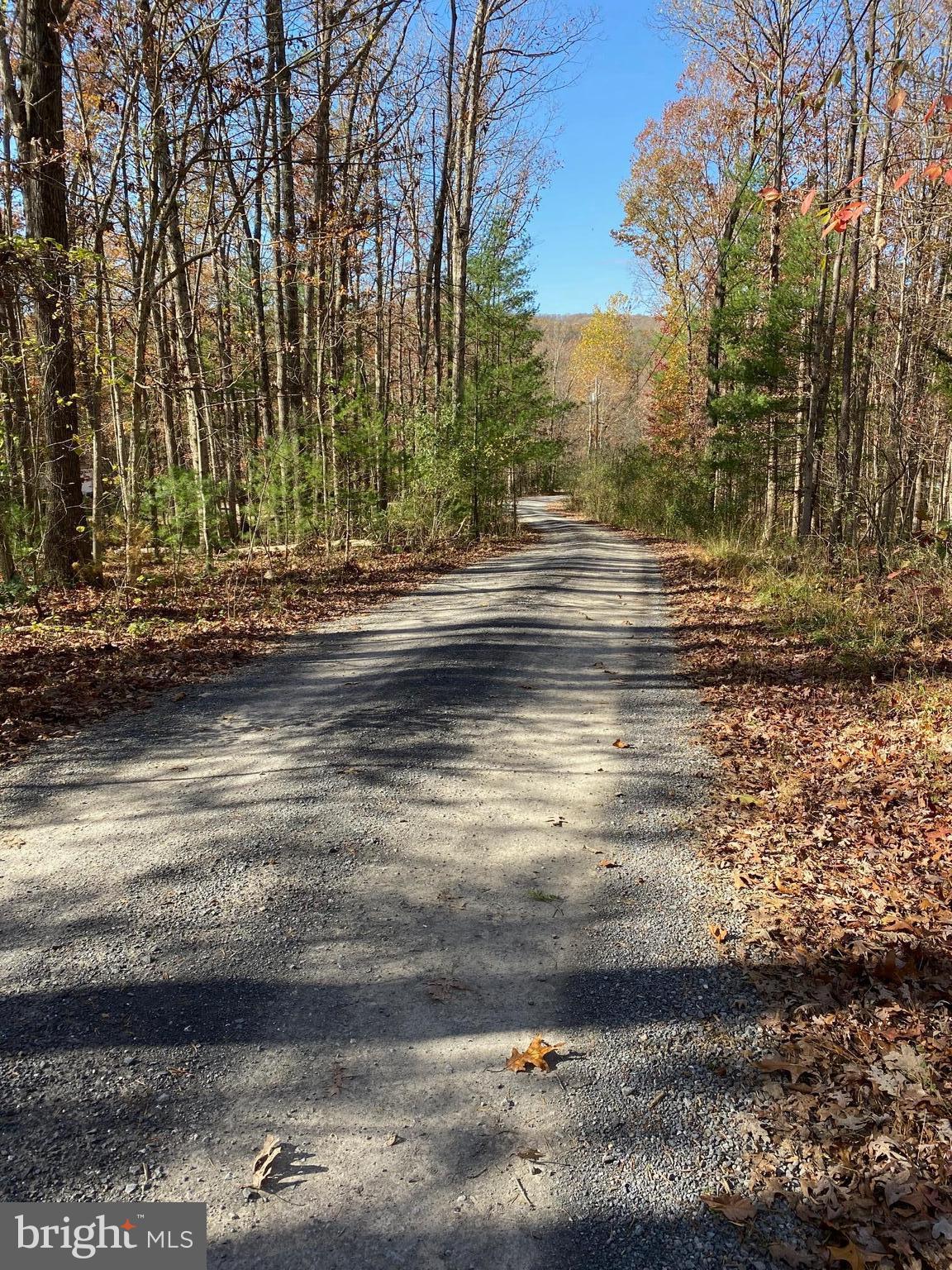 FOREST EDGE ESTATES - Land