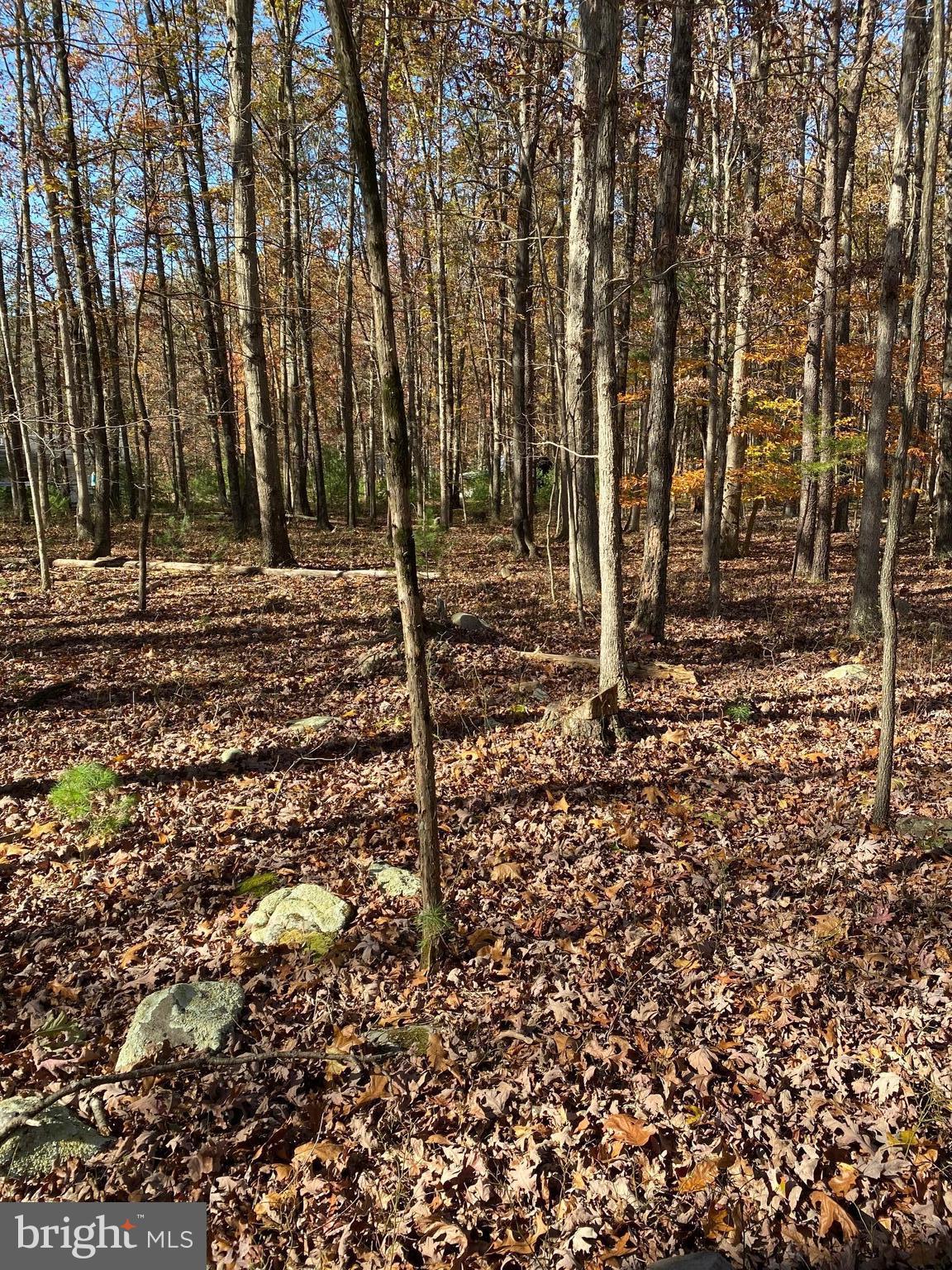 FOREST EDGE ESTATES - Land