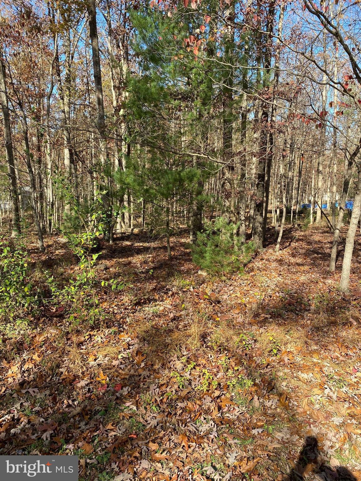 FOREST EDGE ESTATES - Land