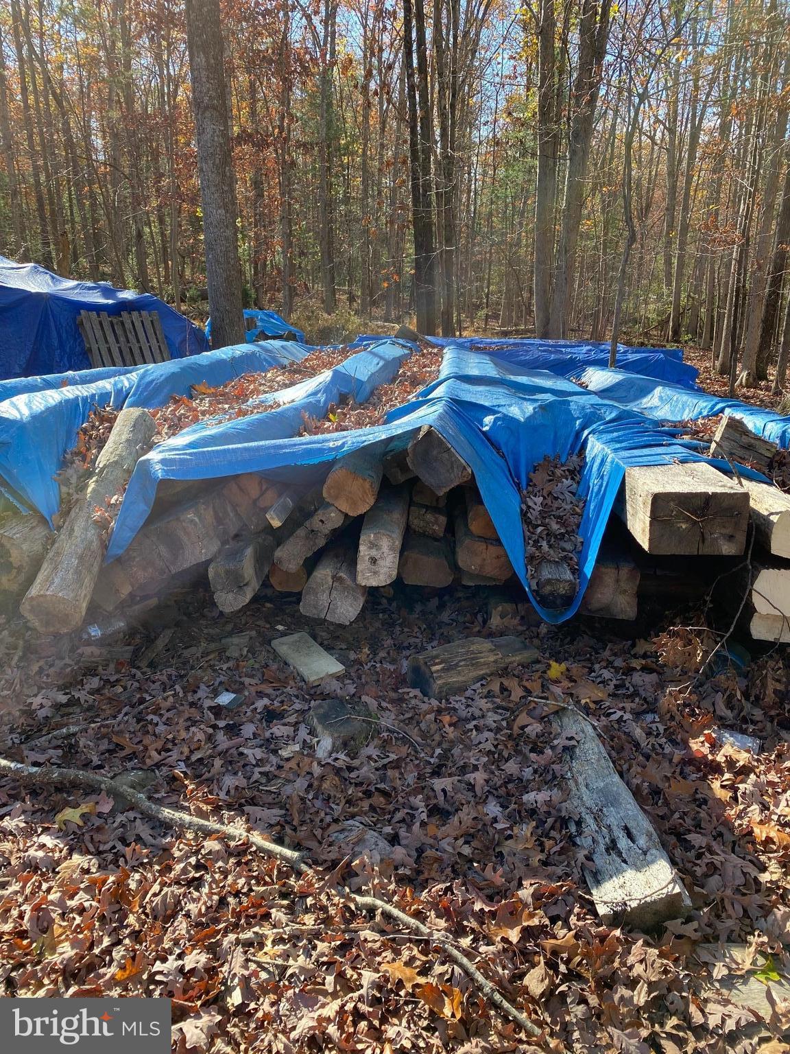 FOREST EDGE ESTATES - Land