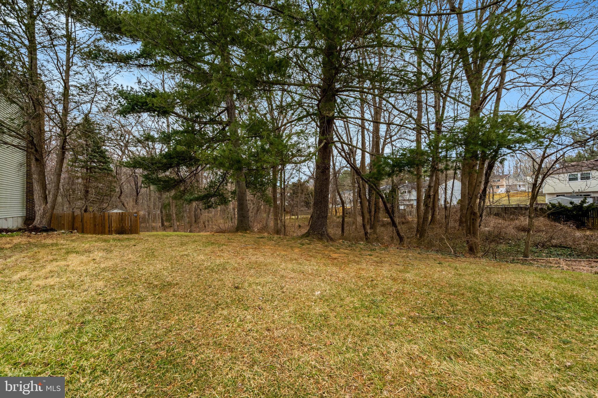 BURKE VILLAGE - Residential