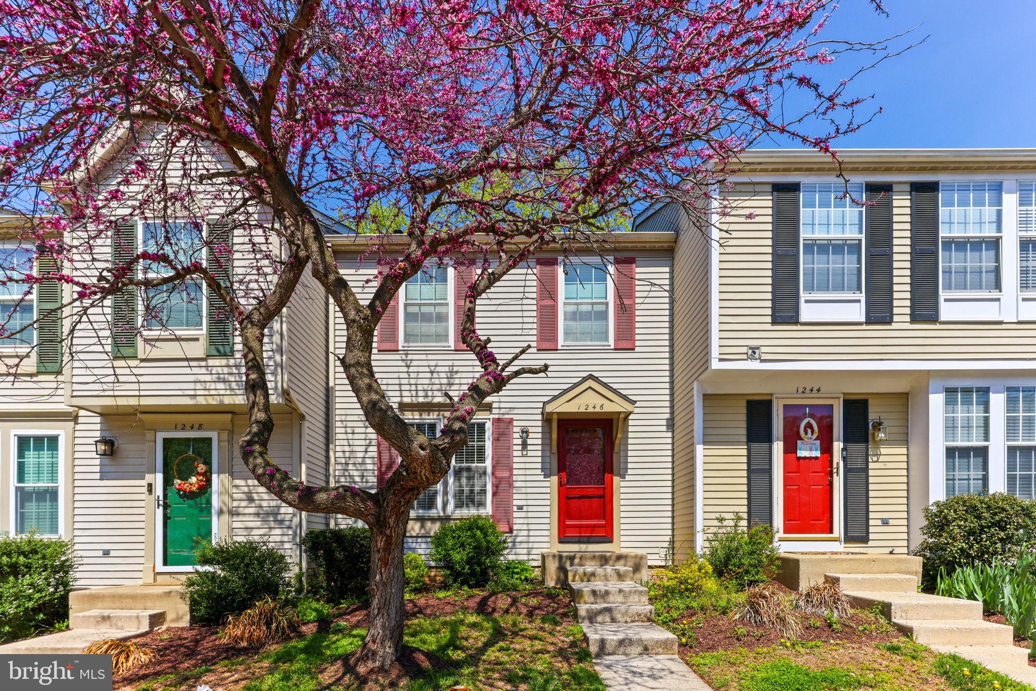 1246 SEMINOLE DRIVE