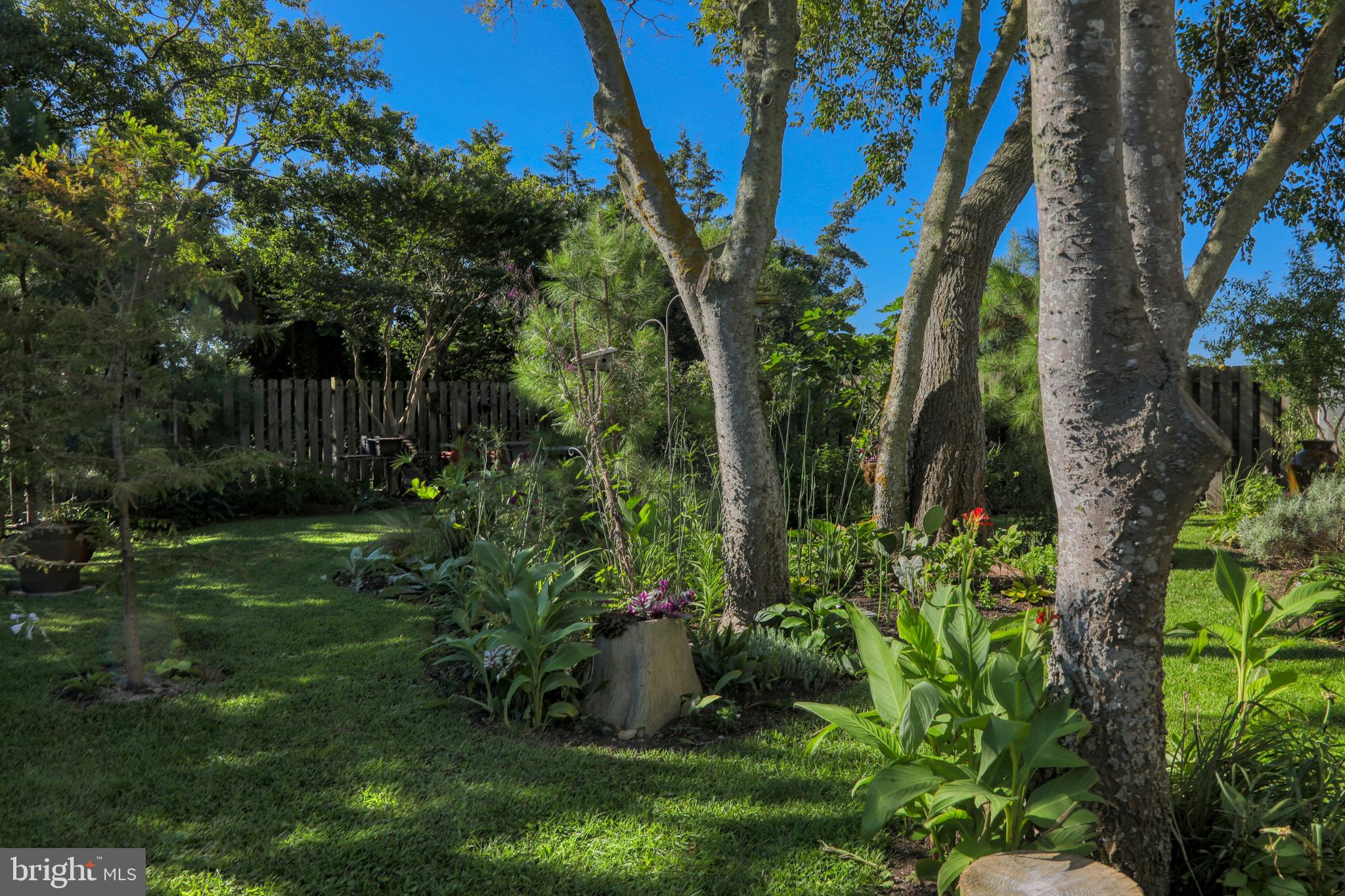 LEWES BEACH - Commercial Sale