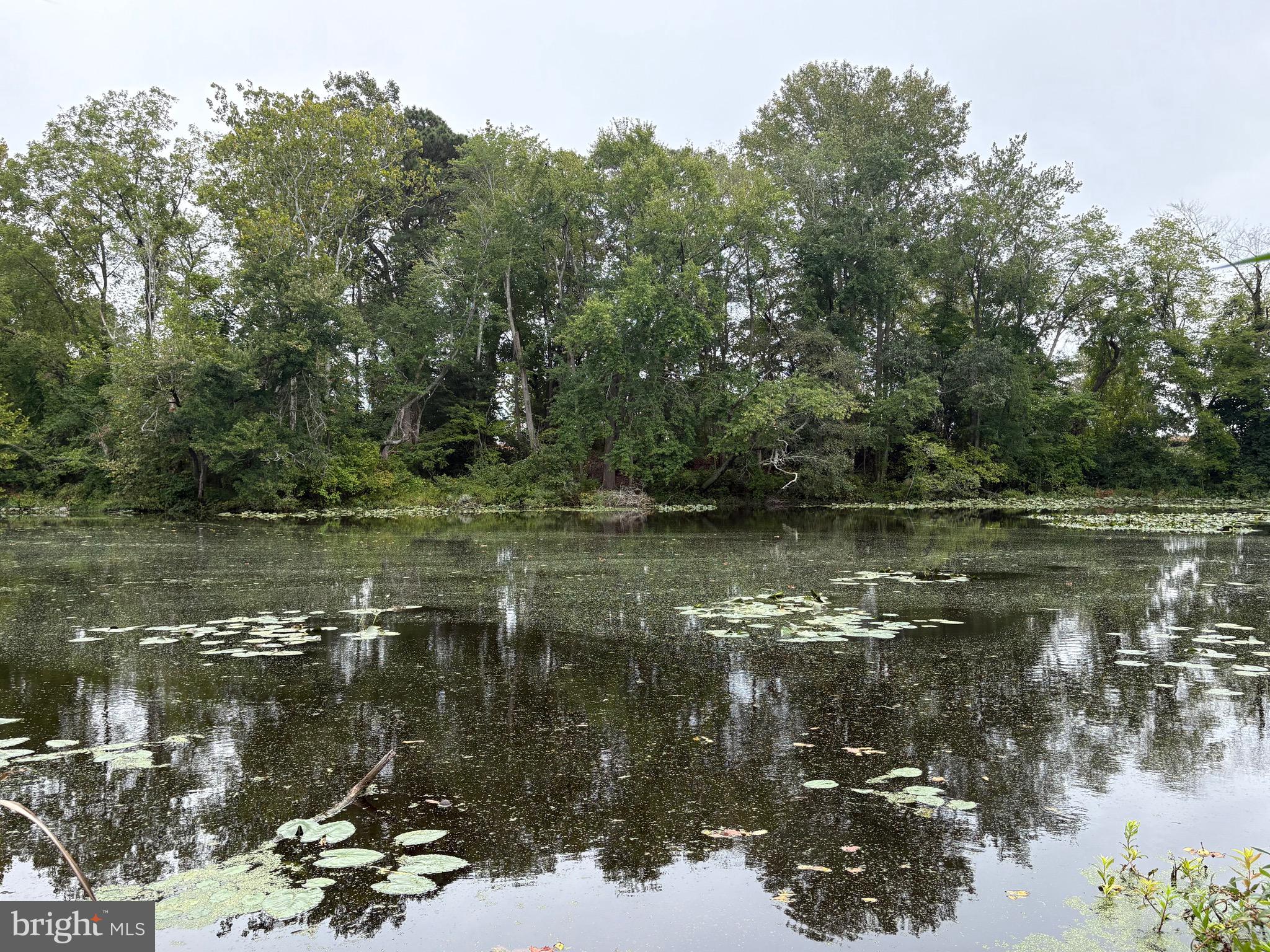 CREEKSIDE EAST - Residential