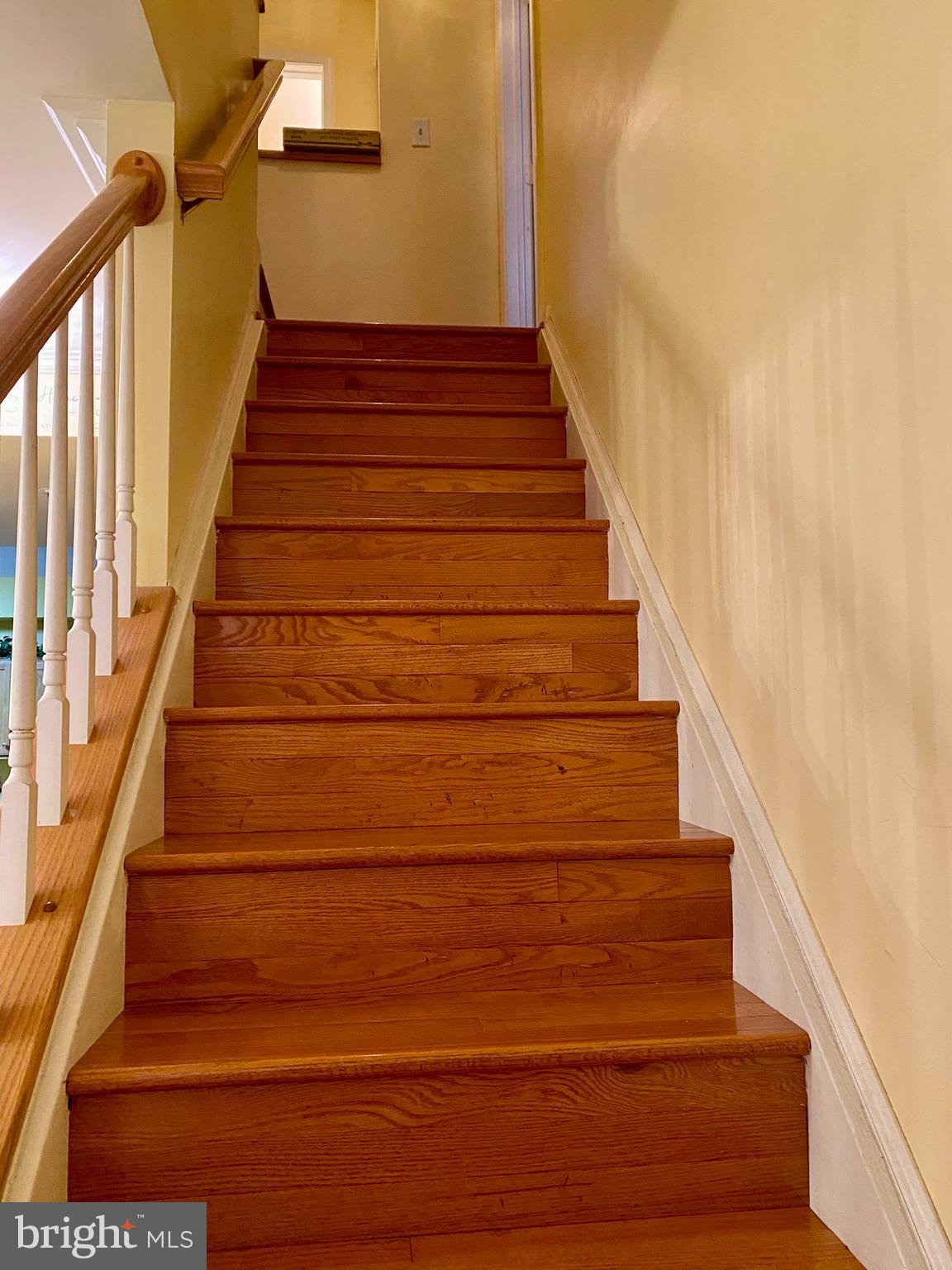 CROTONA PARK - Residential